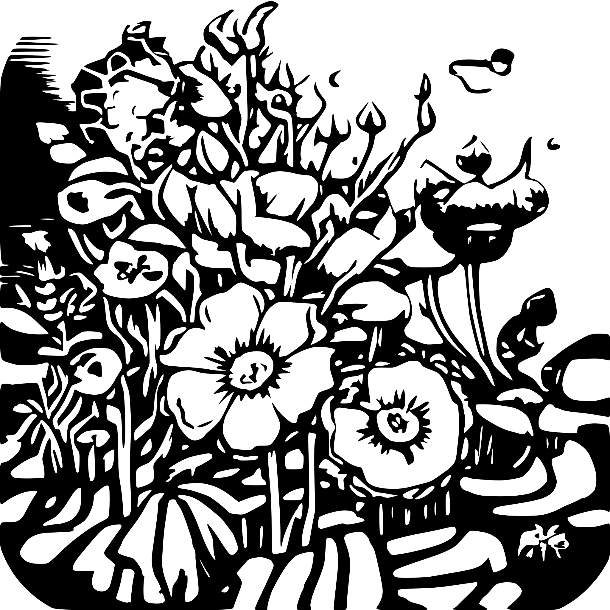 AI-generated SVG of a Romance helgolandská