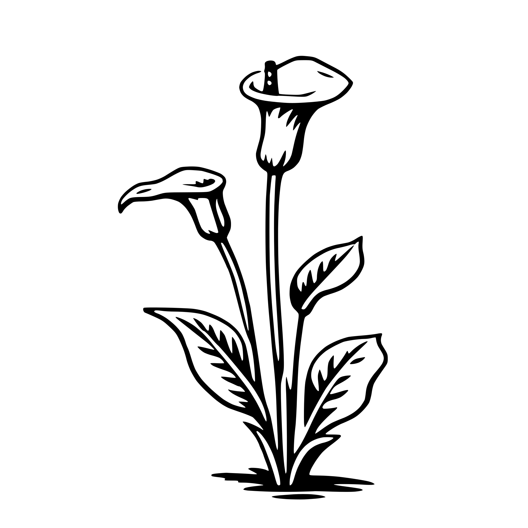 AI-generated SVG of a calla lily