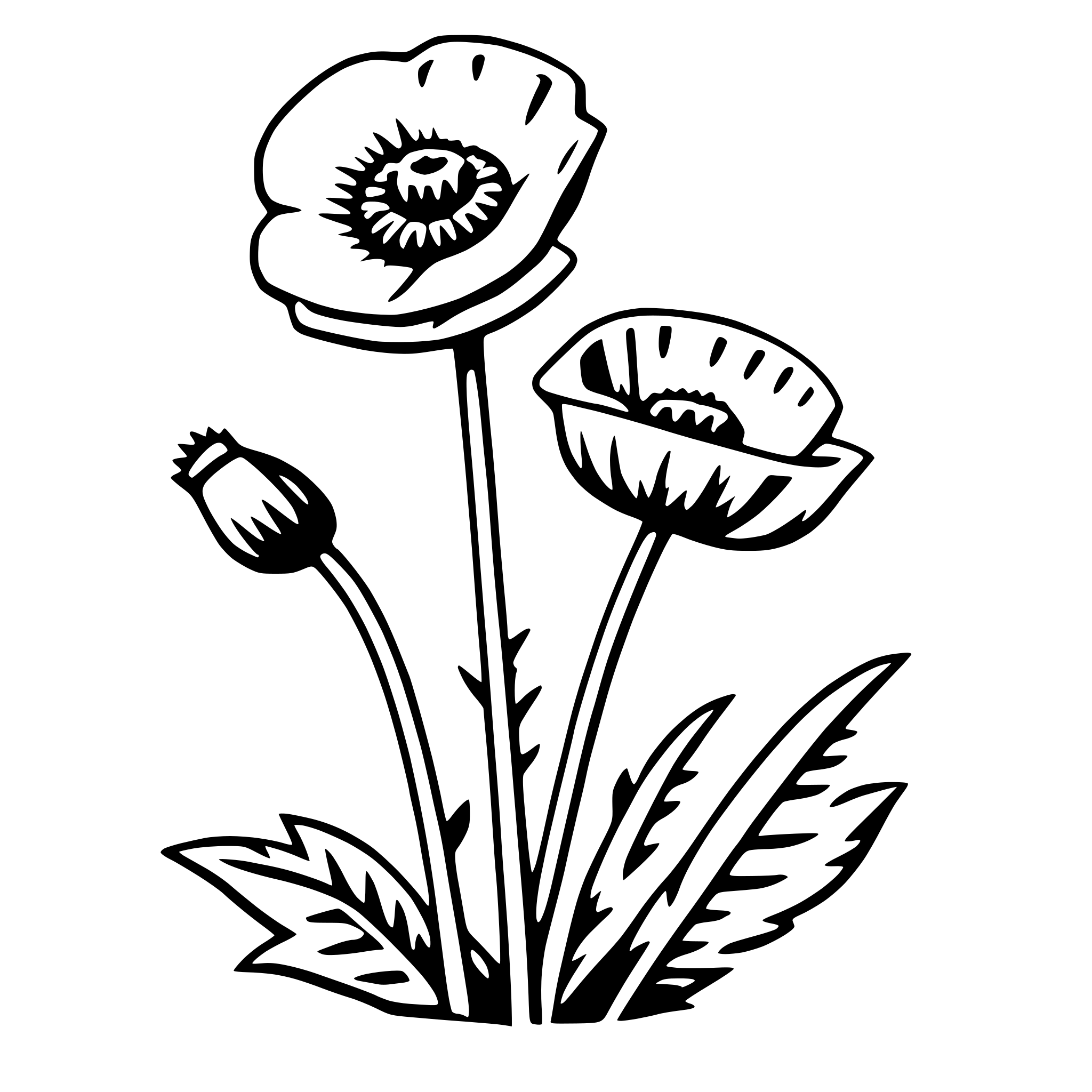 AI-generated SVG of a poppy