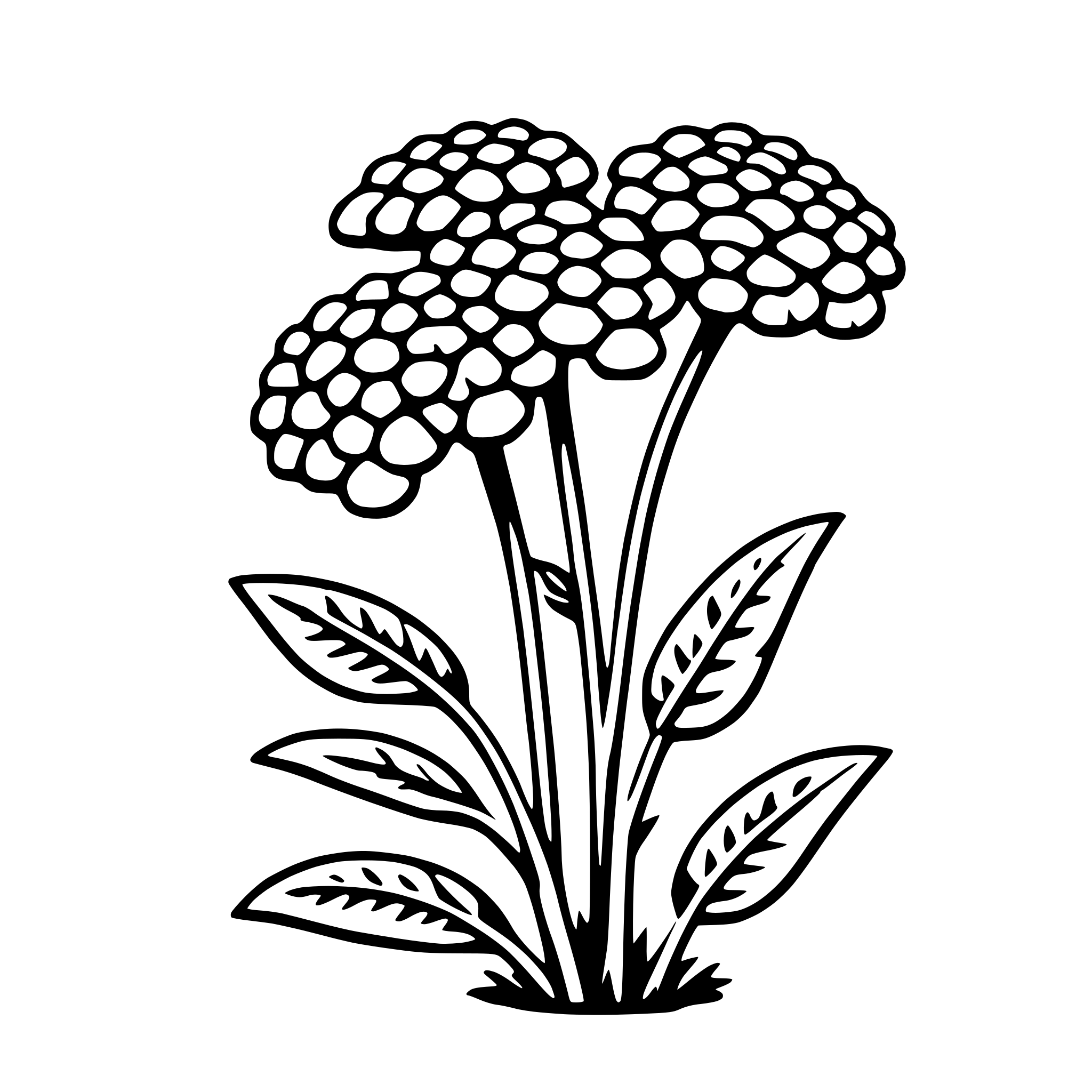 AI-generated SVG of 'yarrow'