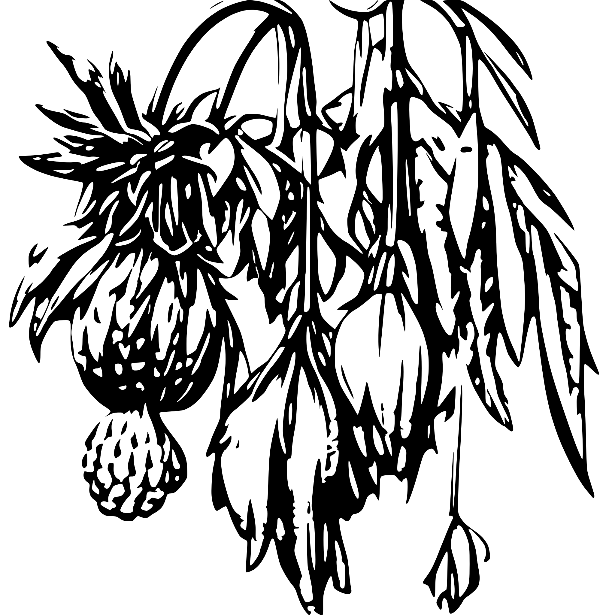AI-generated SVG of 'Crown Imperial'