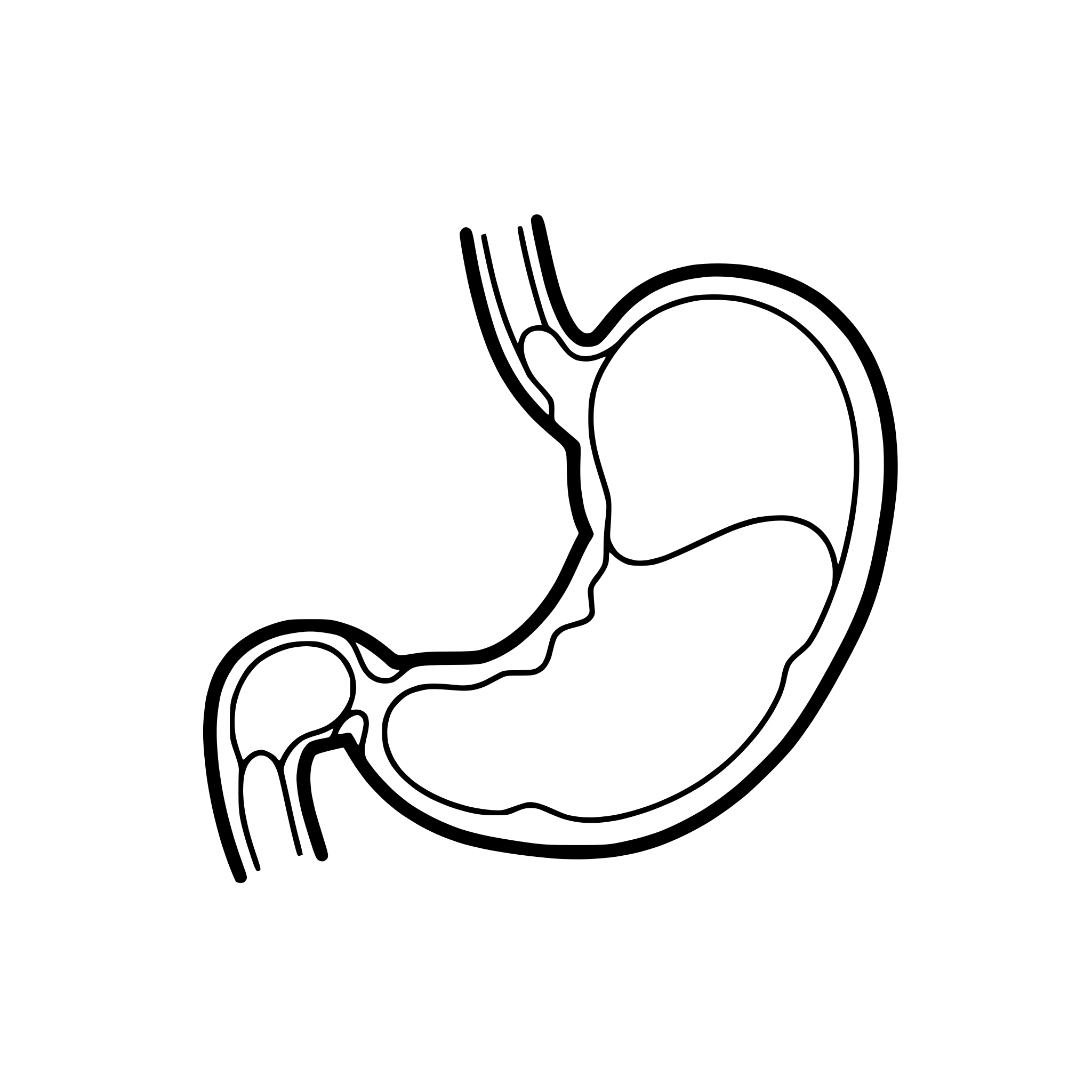 AI-generated SVG of a stomach