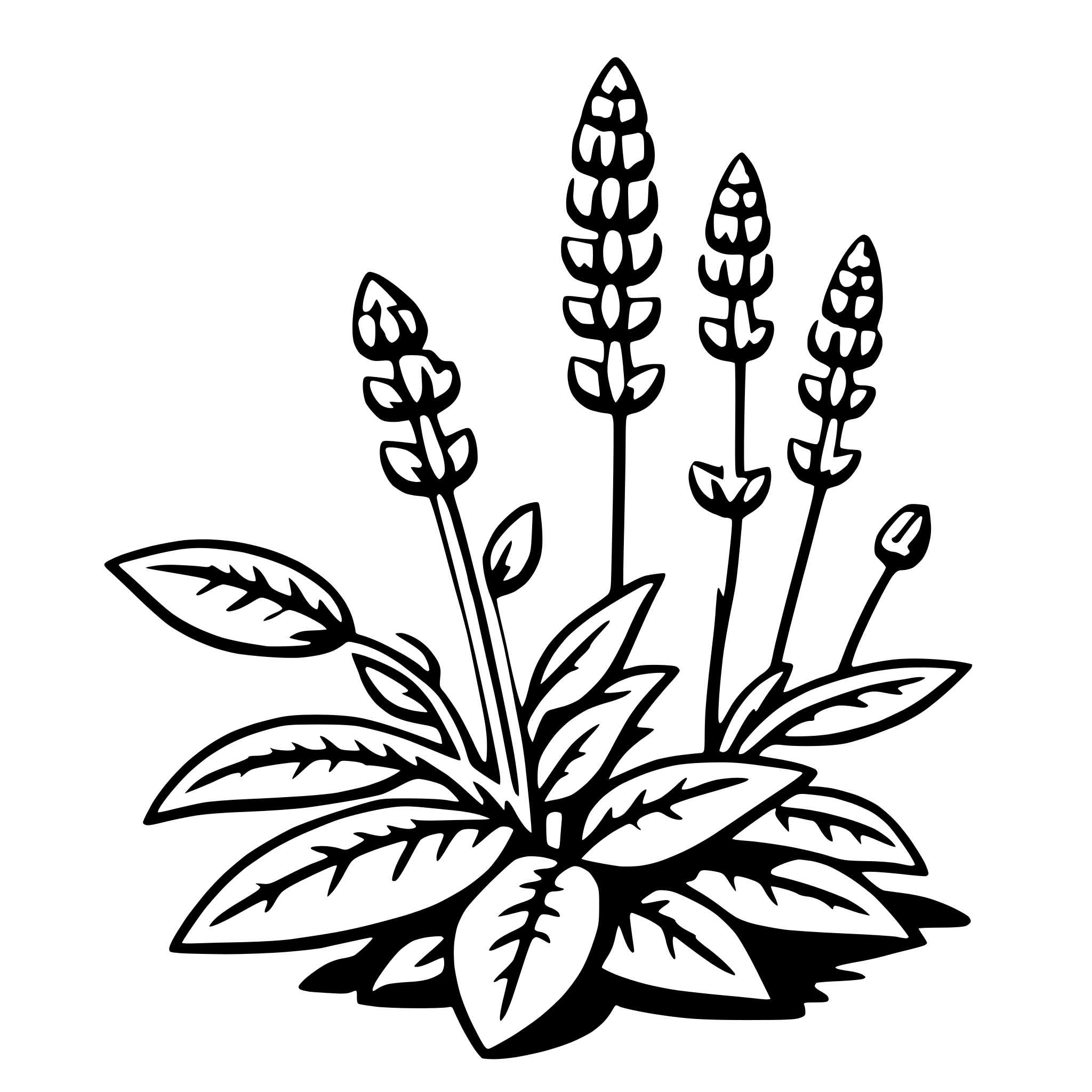 The SVG depicts a stylized illustration of a plant with multiple stems, each topped with a cluster of leaves and a single flower. The plant is centered and appears to be in full bloom, with the leaves and flowers detailed to show their veins and textures. The stems are thin and elongated, with the leaves and flowers attached at the top. The overall style is simple and graphic, with clean lines and a limited color palette. 