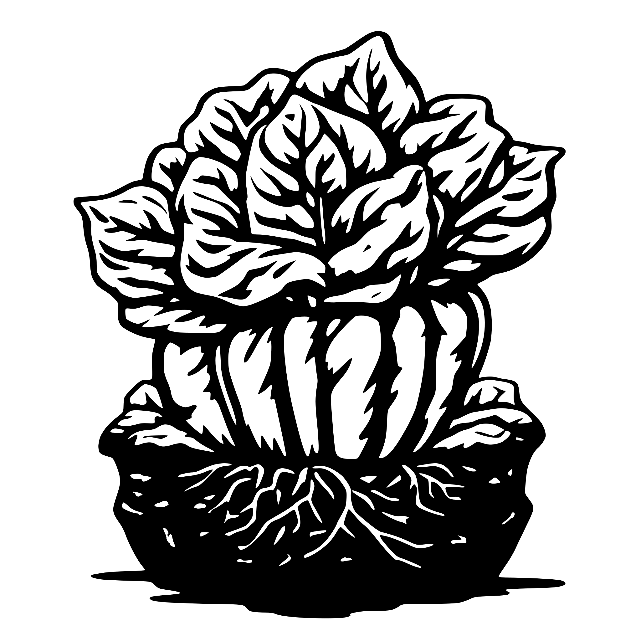 AI-generated SVG of 'lettuce growth with roots'