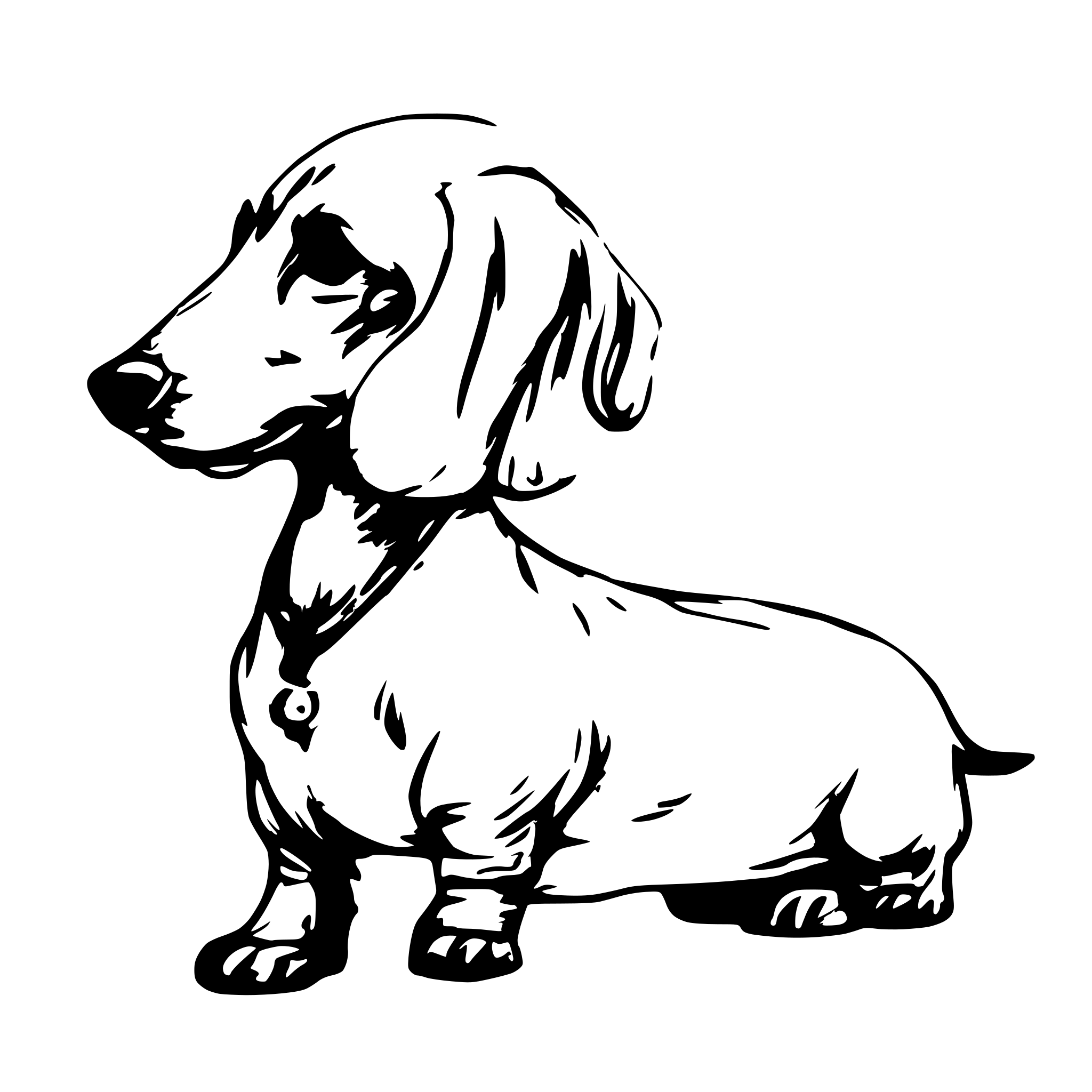 AI-generated SVG of a Single continuous line drawing cute dachshund