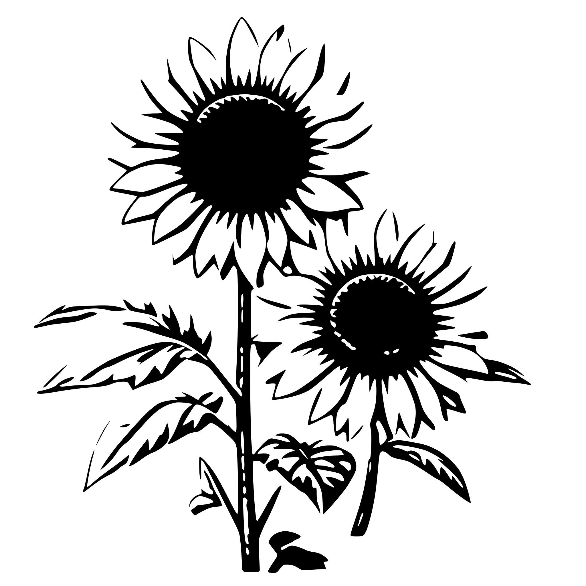 AI-generated SVG of 'girassol'