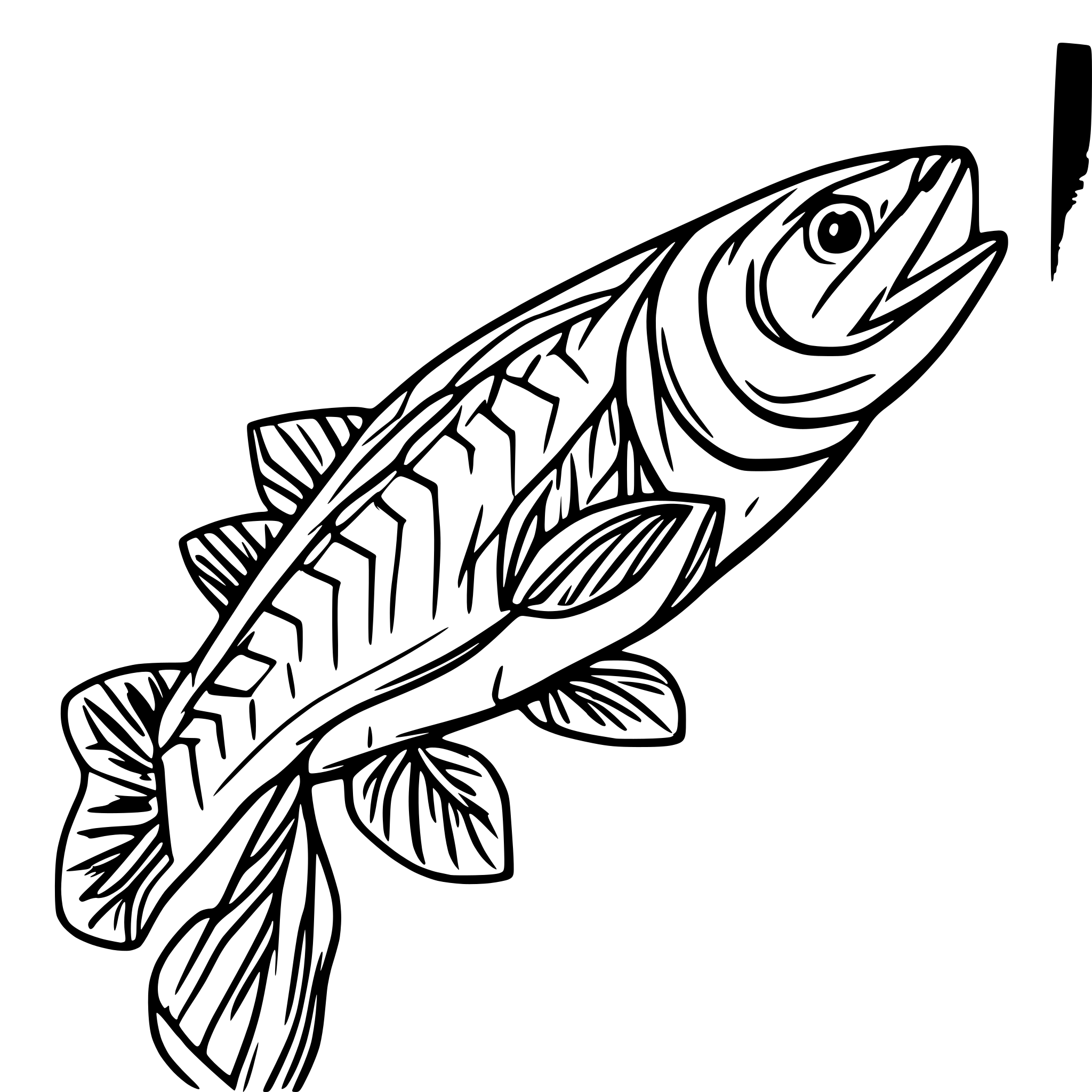 AI-generated SVG of a native salmon