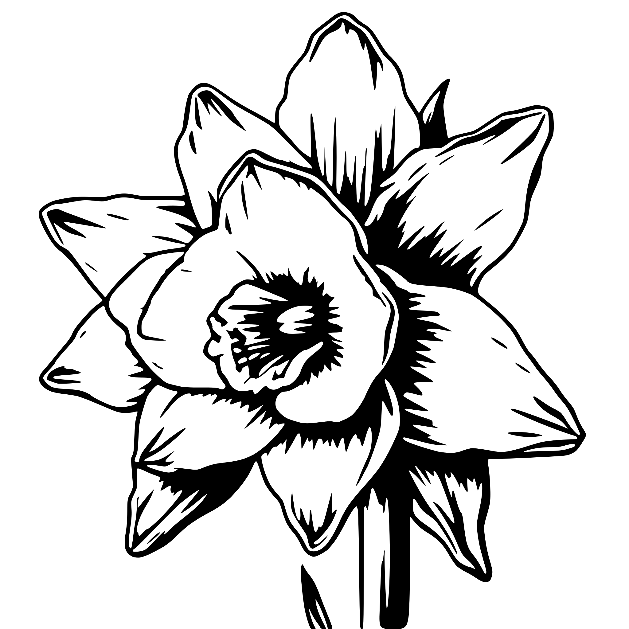 AI-generated SVG of a Head of a daffodil