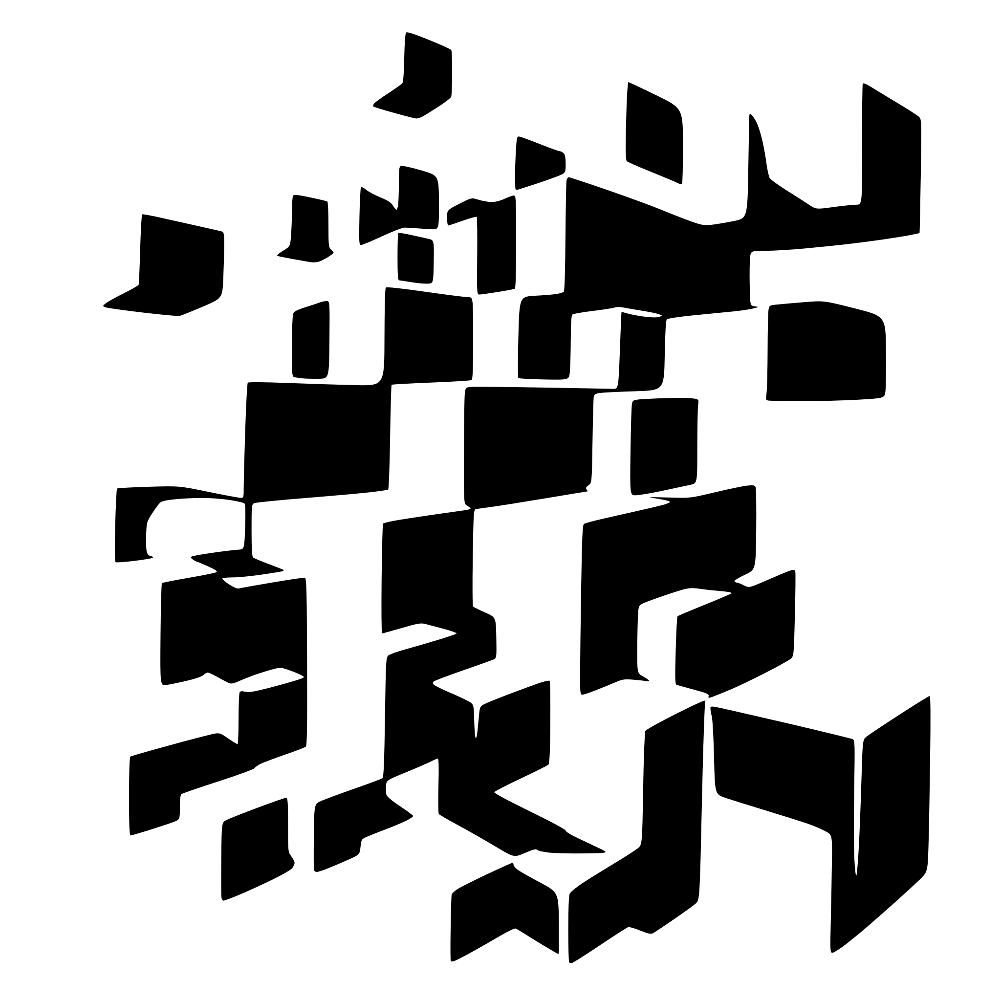 AI-generated SVG of a polygon rectangle cube 1px border