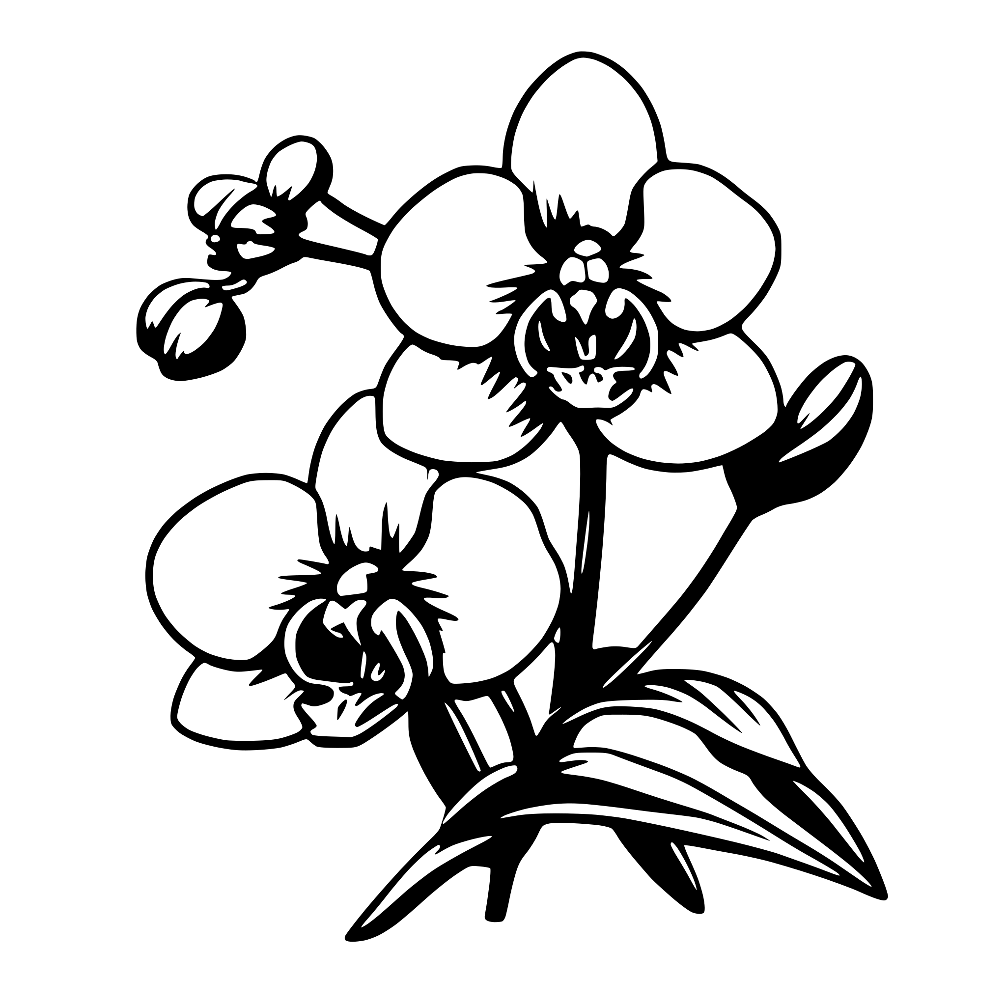 AI-generated SVG of 'orchids'