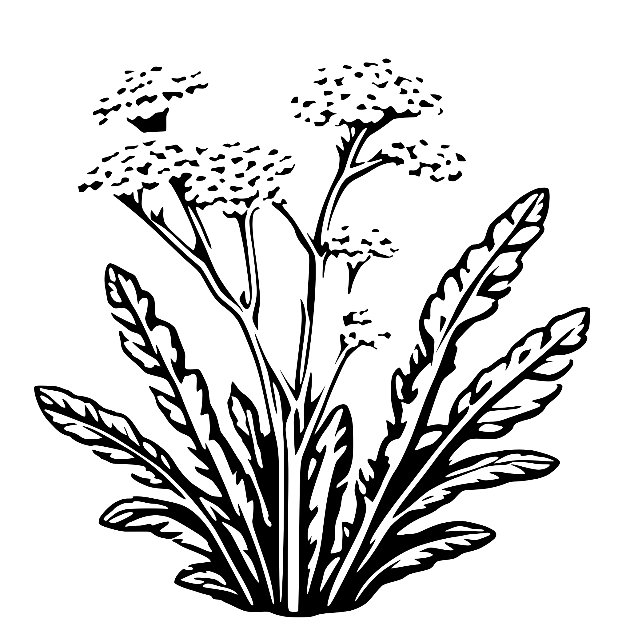 AI-generated SVG of 'sing yarrow plant'