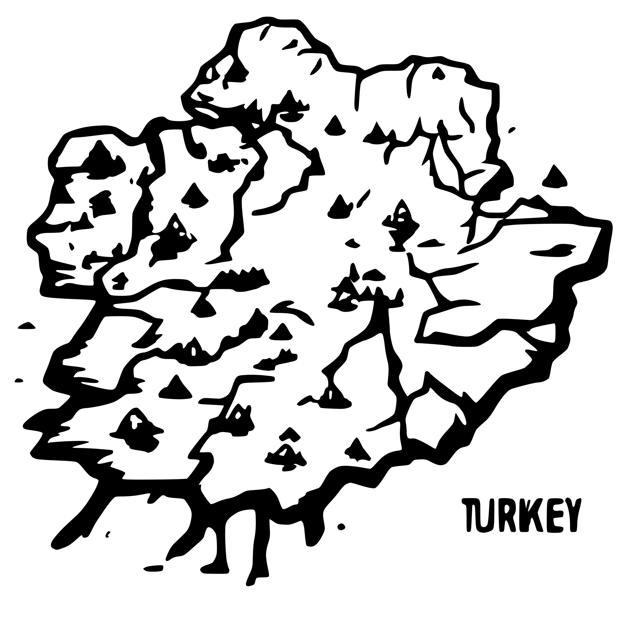AI-generated SVG of a turkey region map