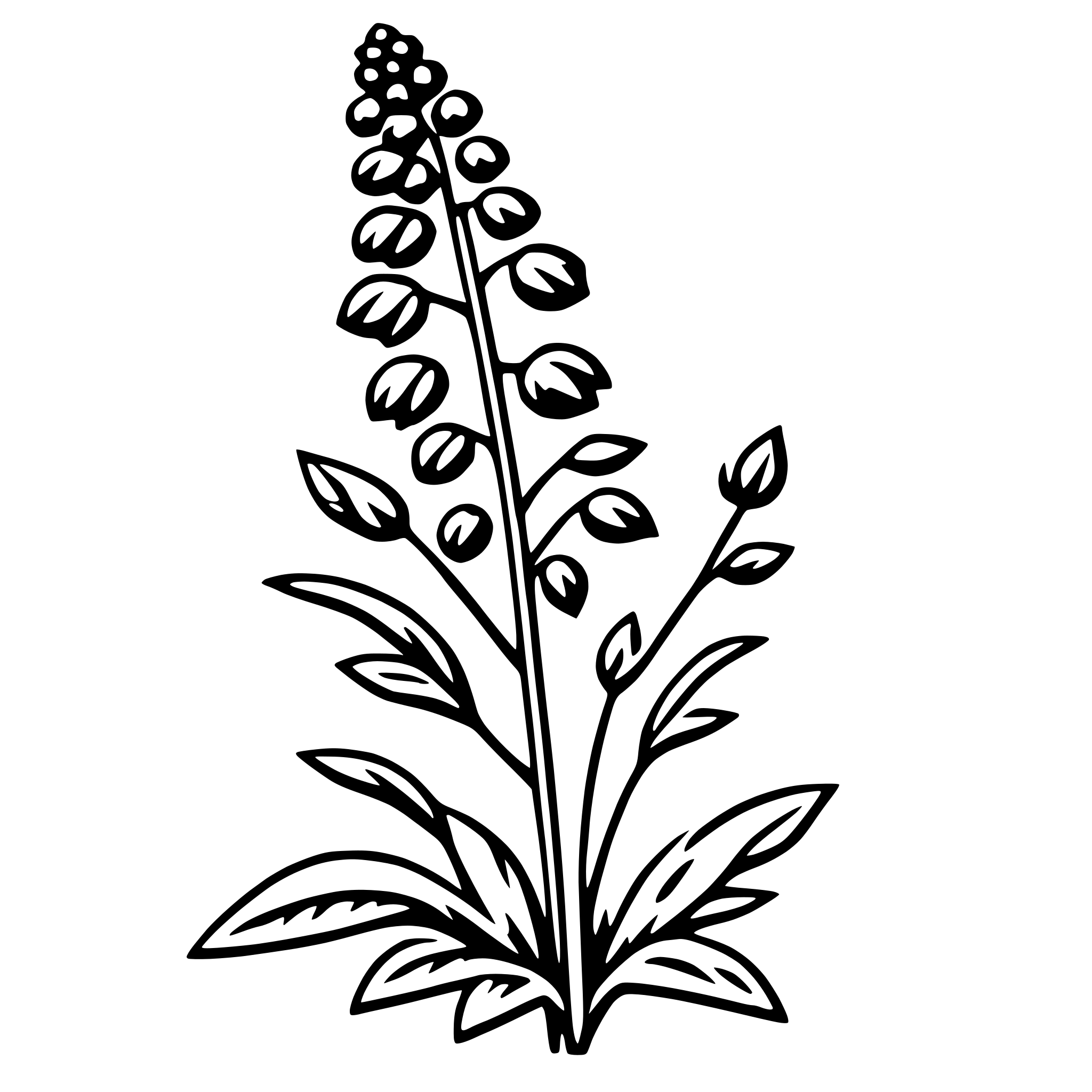 AI-generated SVG of a delphinium