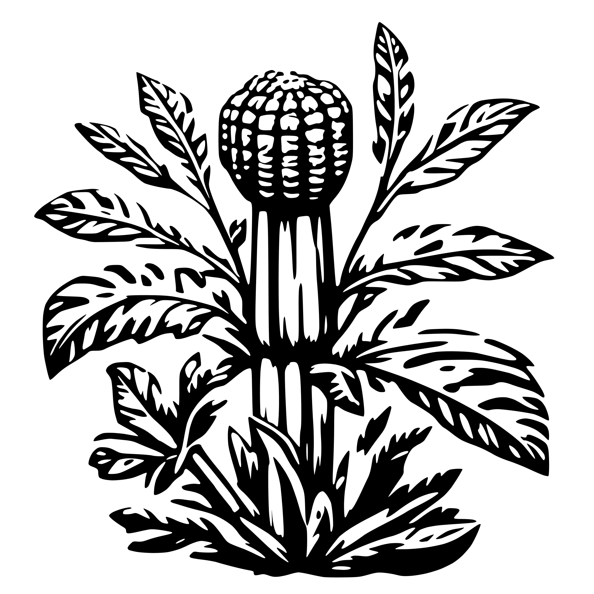 AI-generated SVG of 'Ceroxylon quindiuense'