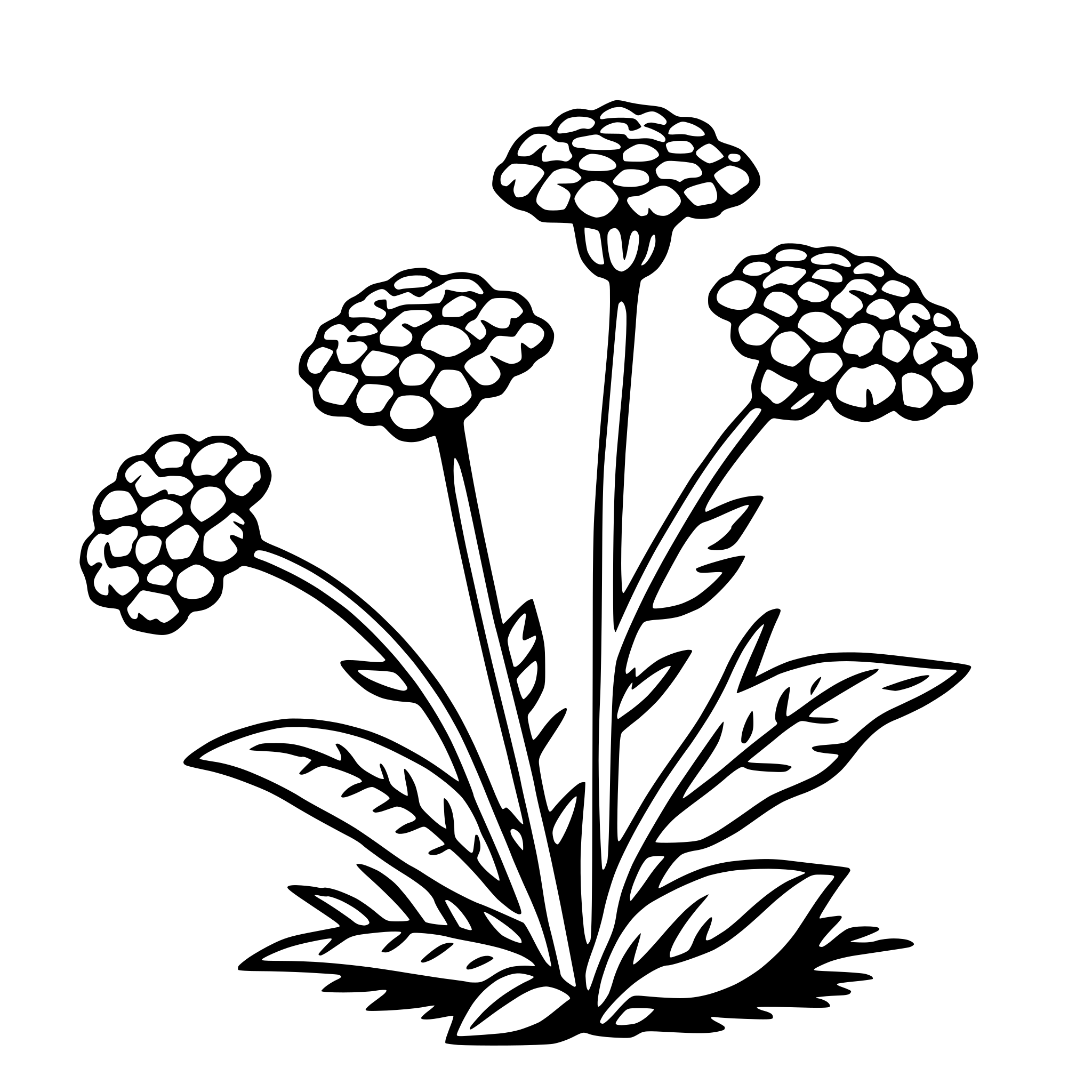 AI-generated SVG of a yarrow