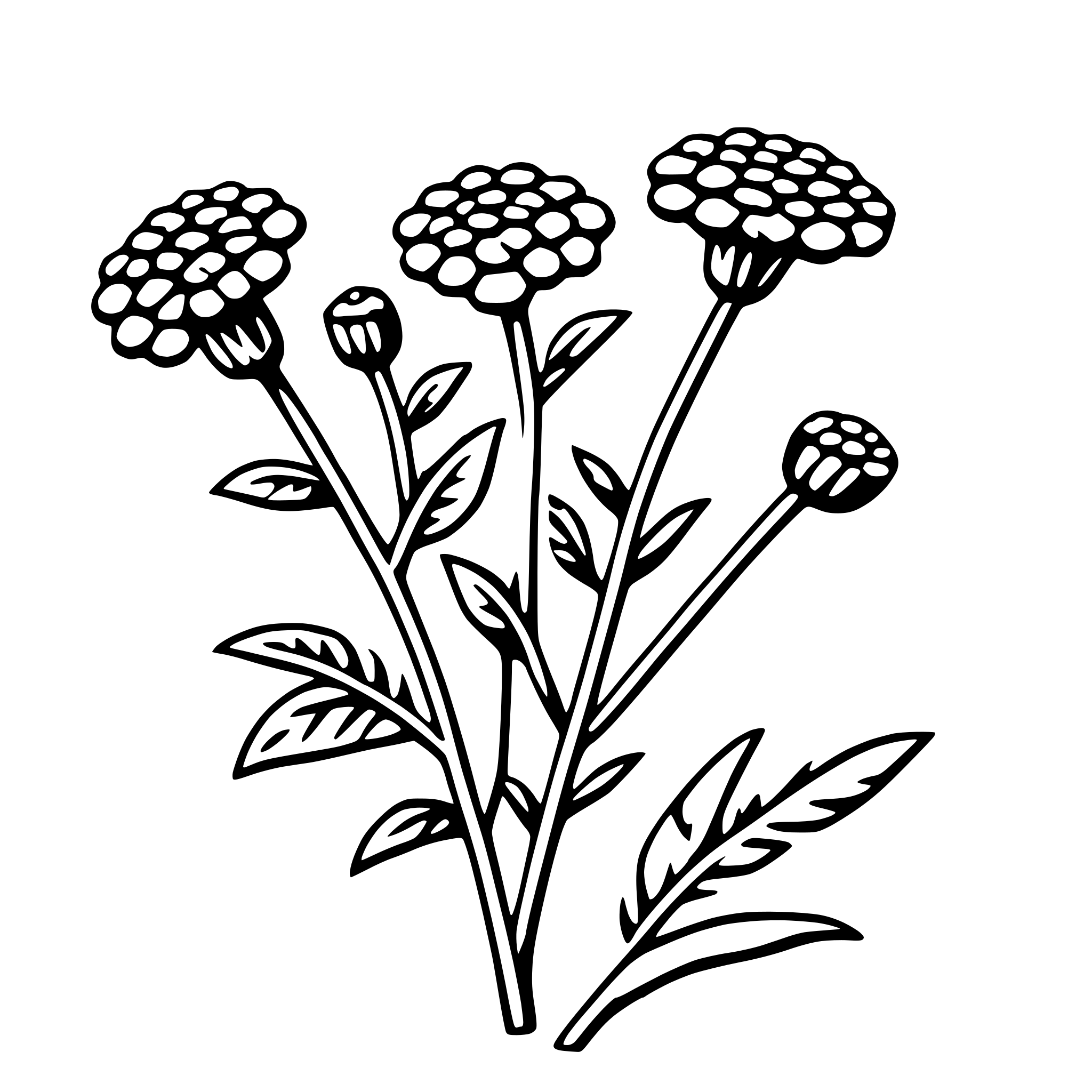 AI-generated SVG of 'yarrow'