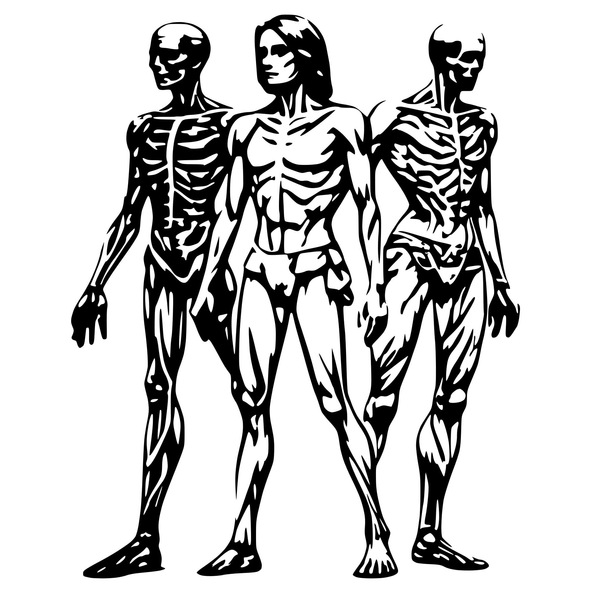AI-generated SVG of a full Human body anatomy outline