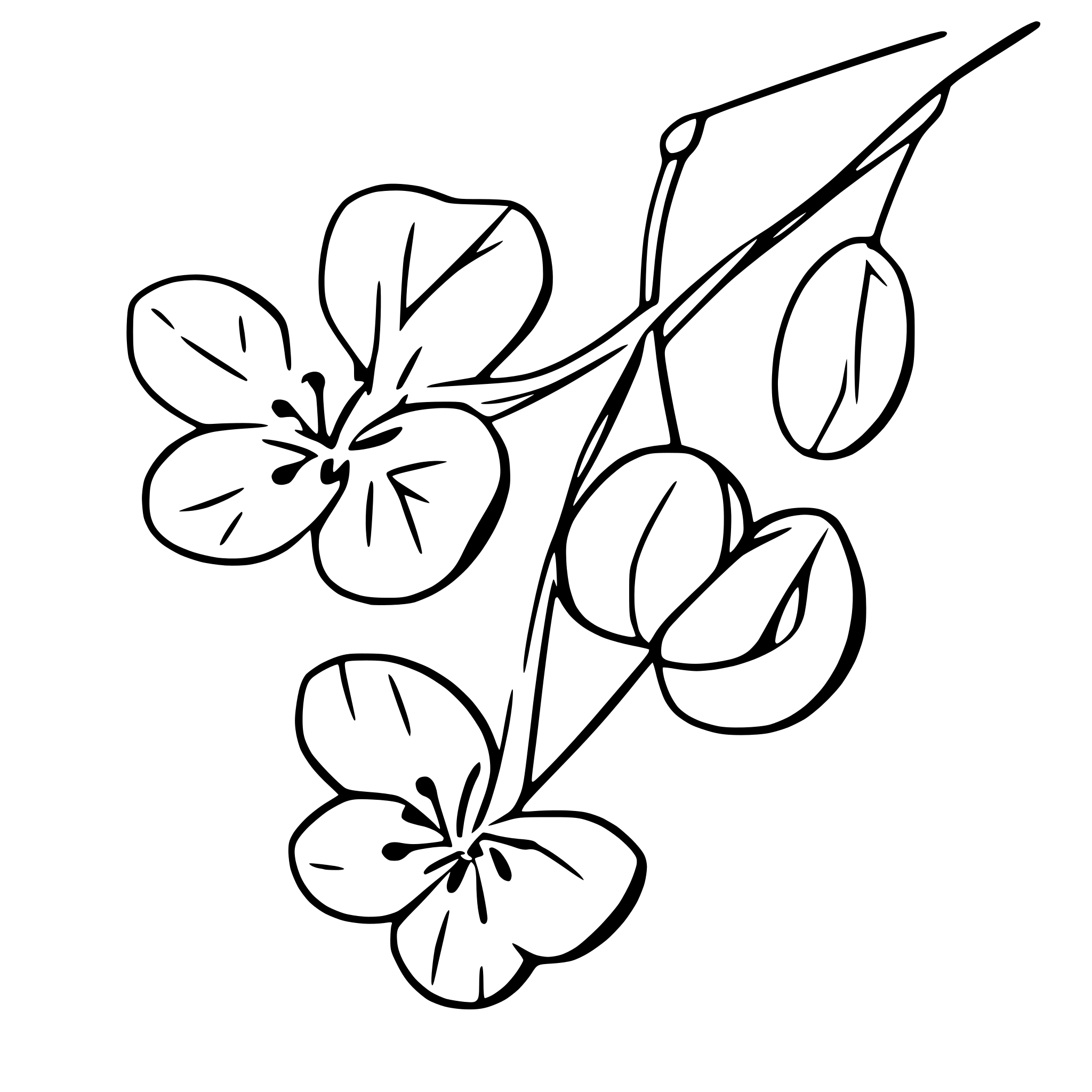 AI-generated SVG of a cherry blossoms with branches