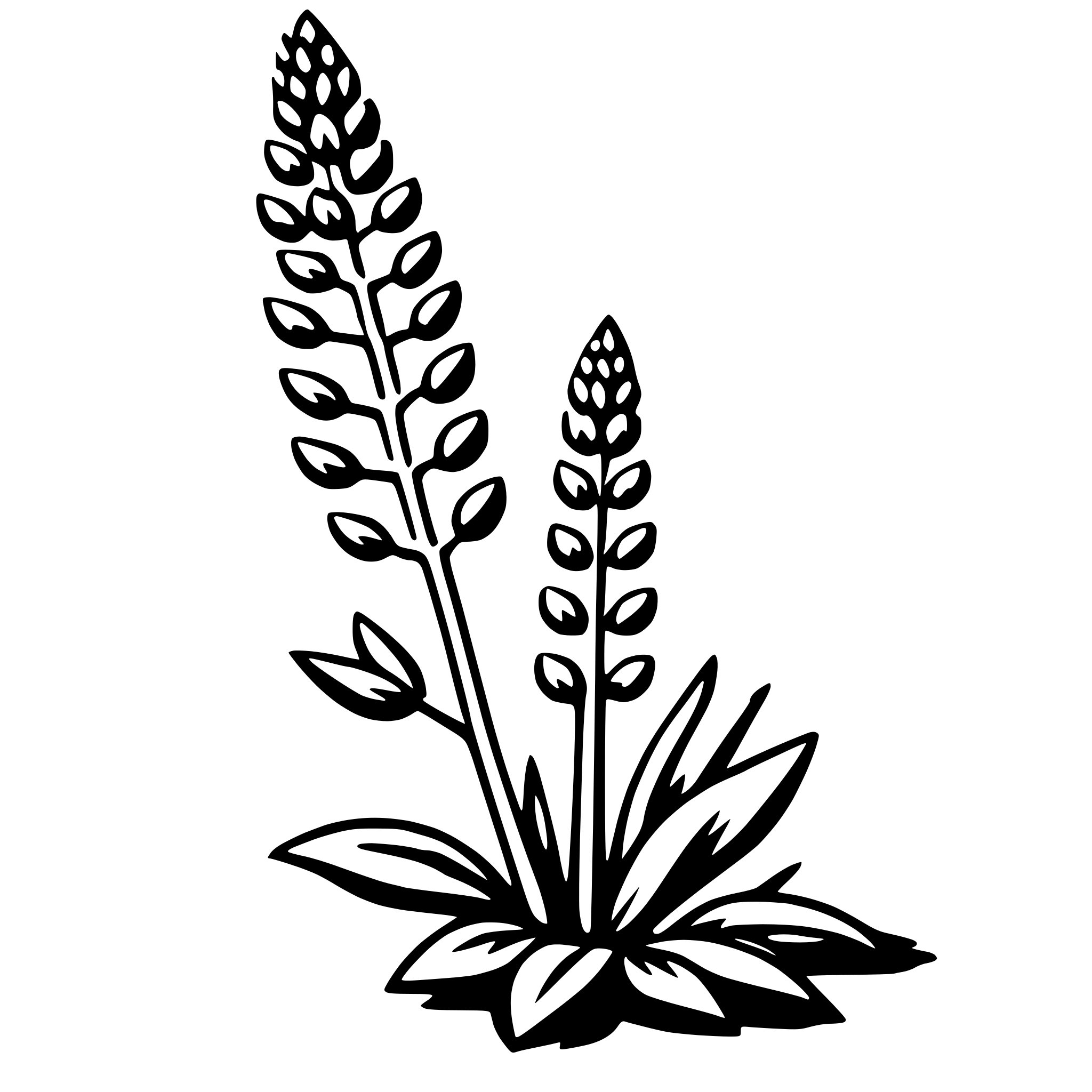 AI-generated SVG of 'lupine'