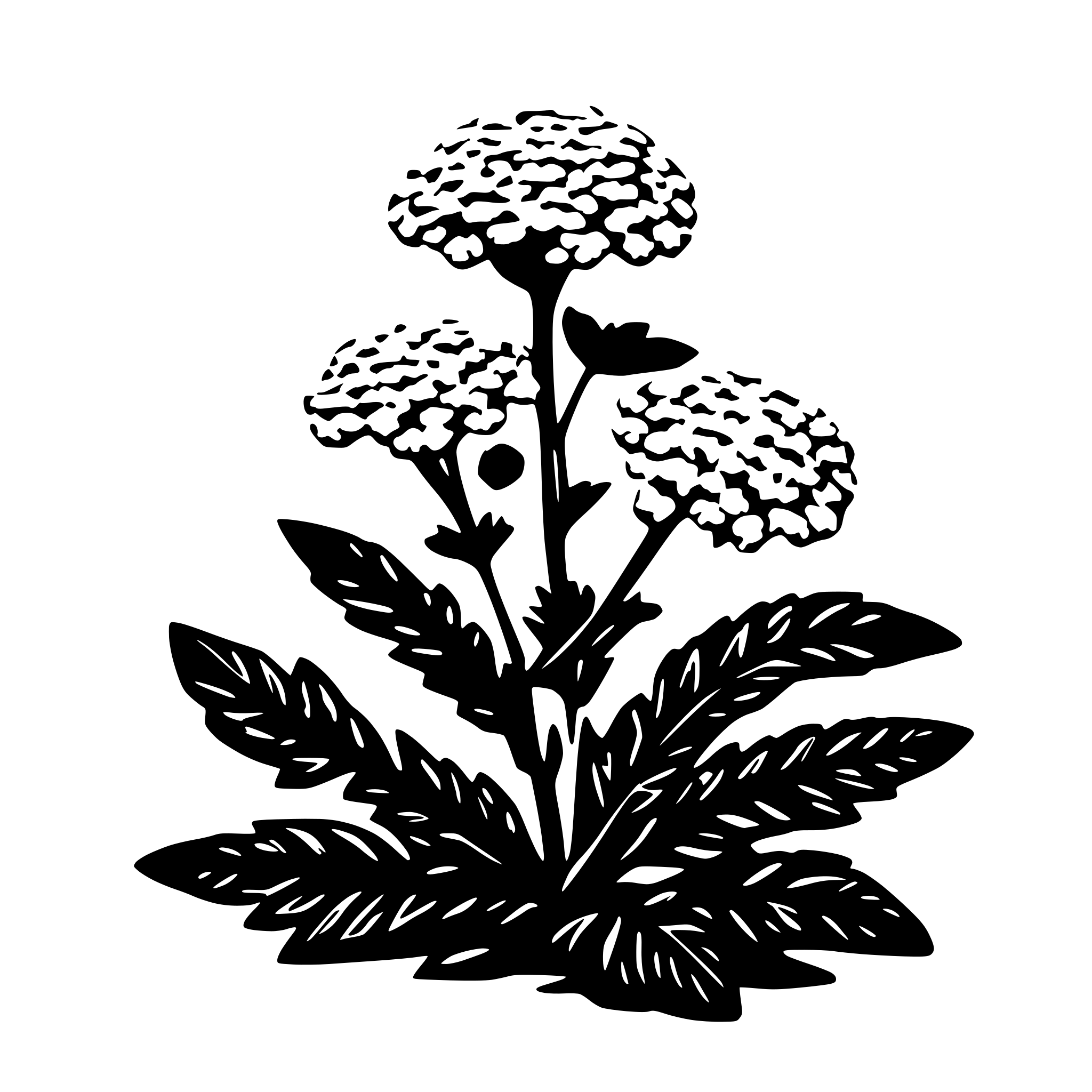 AI-generated SVG of 'yarrow plant'