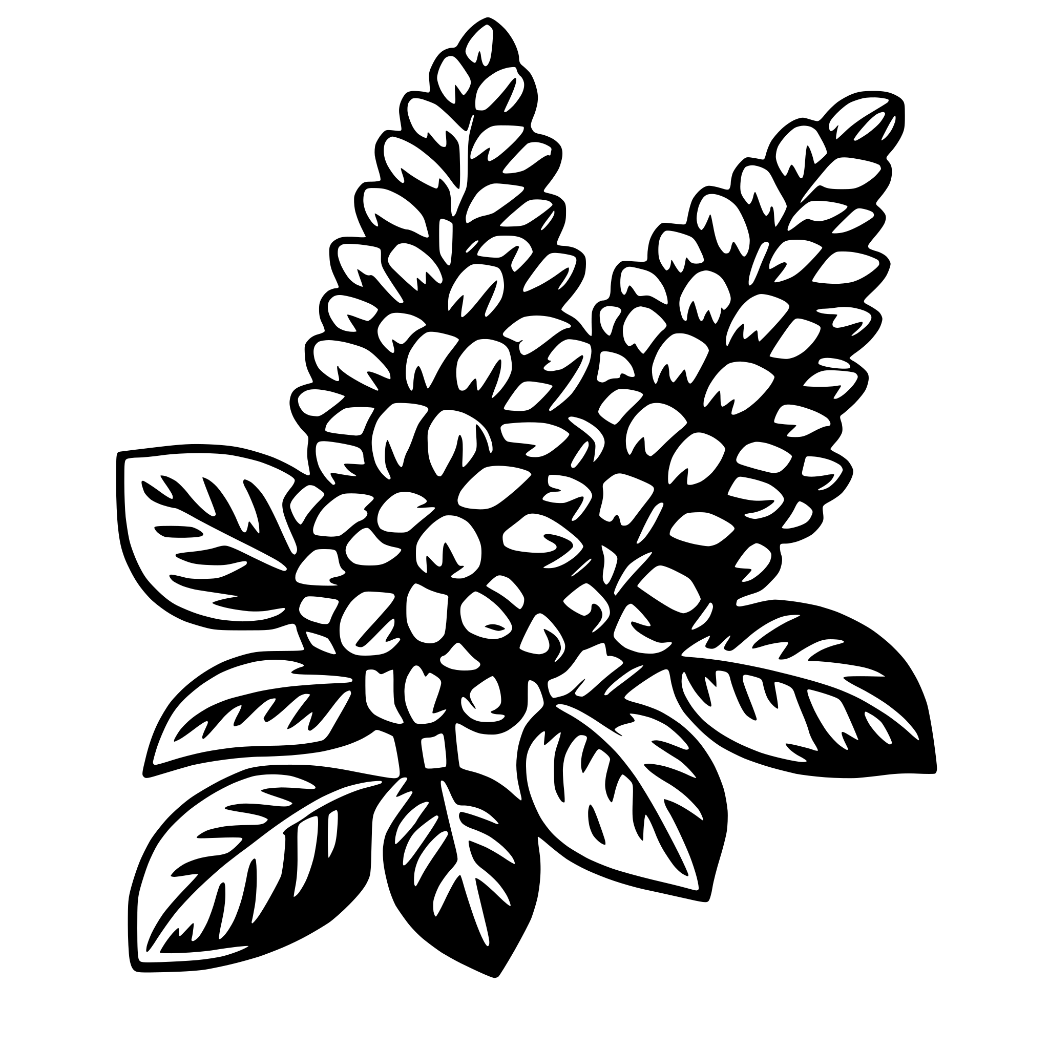 AI-generated SVG of 'lilac'