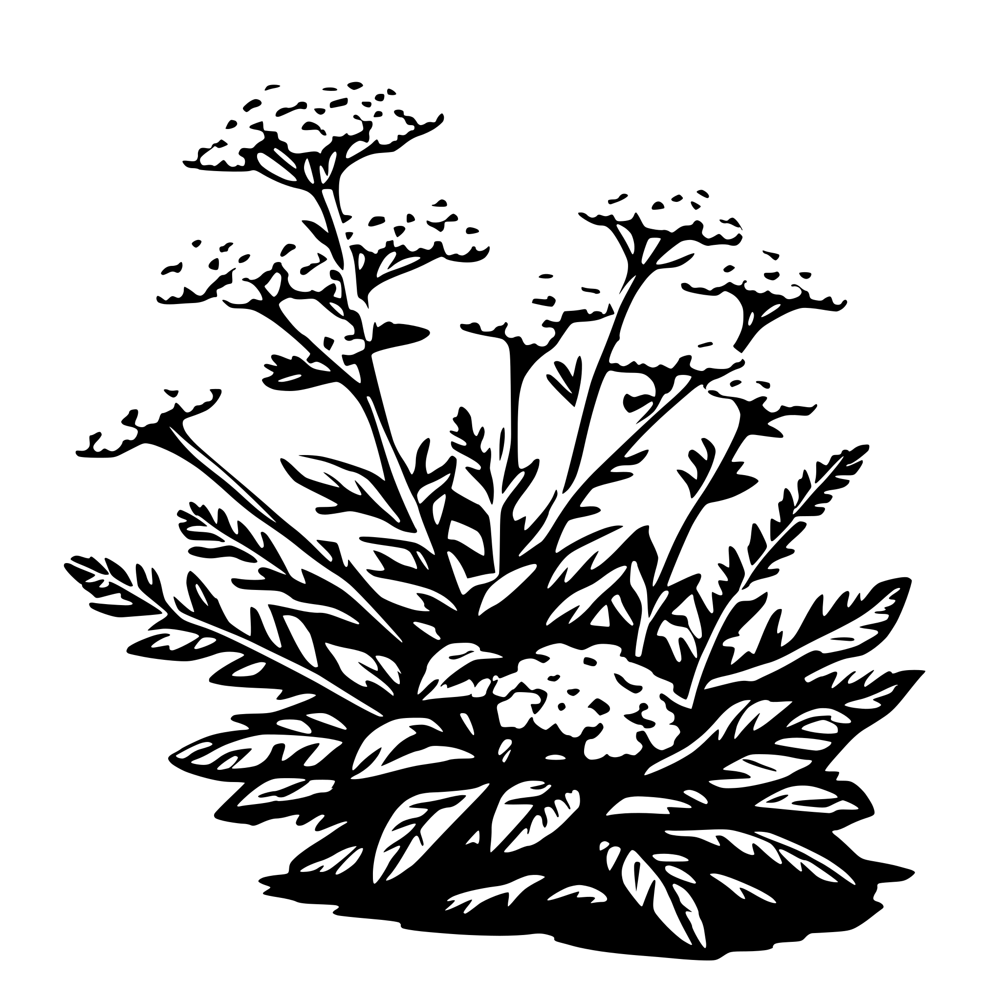 AI-generated SVG of 'yarrow plant'