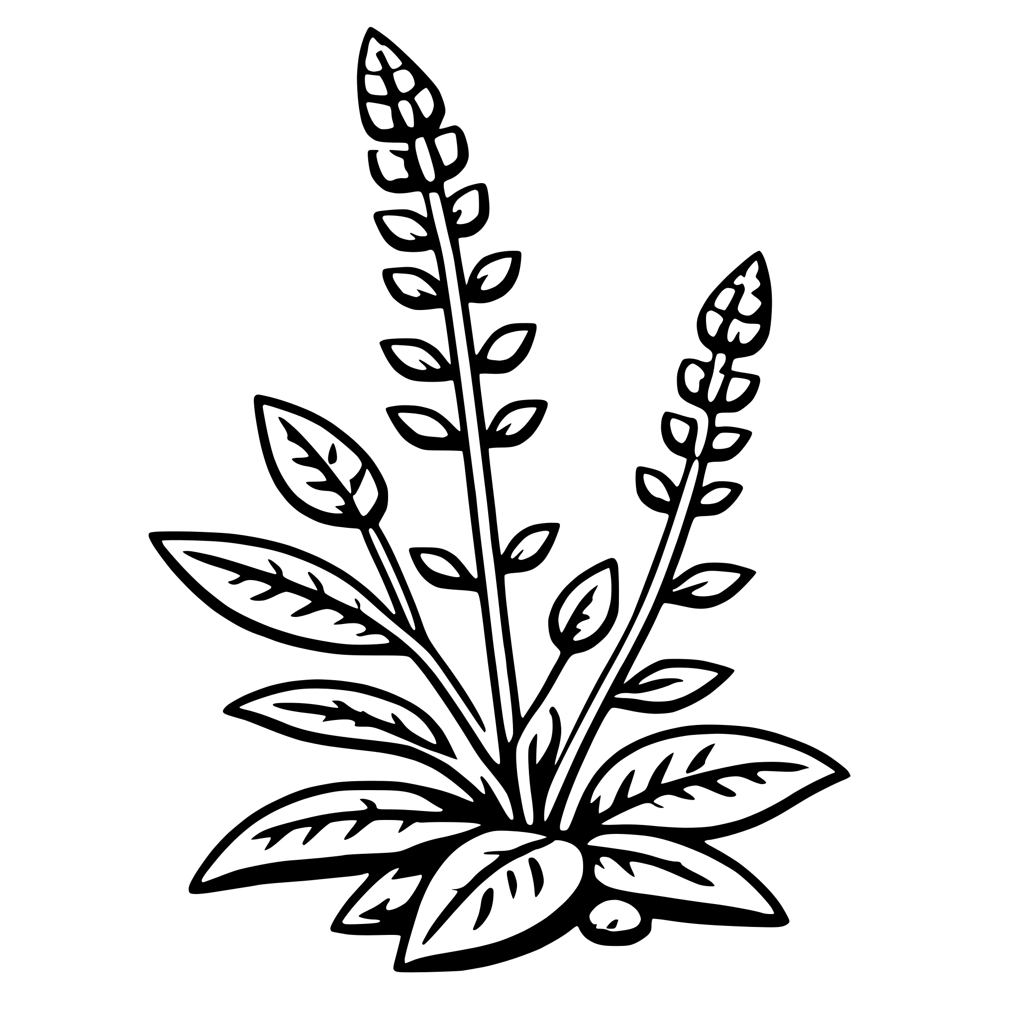The SVG depicts a stylized plant with a prominent central stem that branches out into several leaves. The leaves are detailed with veins and have a slightly curved shape. The plant is set against a plain background. The style of the SVG is simple and graphic, with clean lines and a limited color palette. The plant appears to be a type of herb or flower, but without more specific details, it is not possible to identify the exact species. The SVG does not show any interaction between objects, as it is a single, self-contained graphic. 