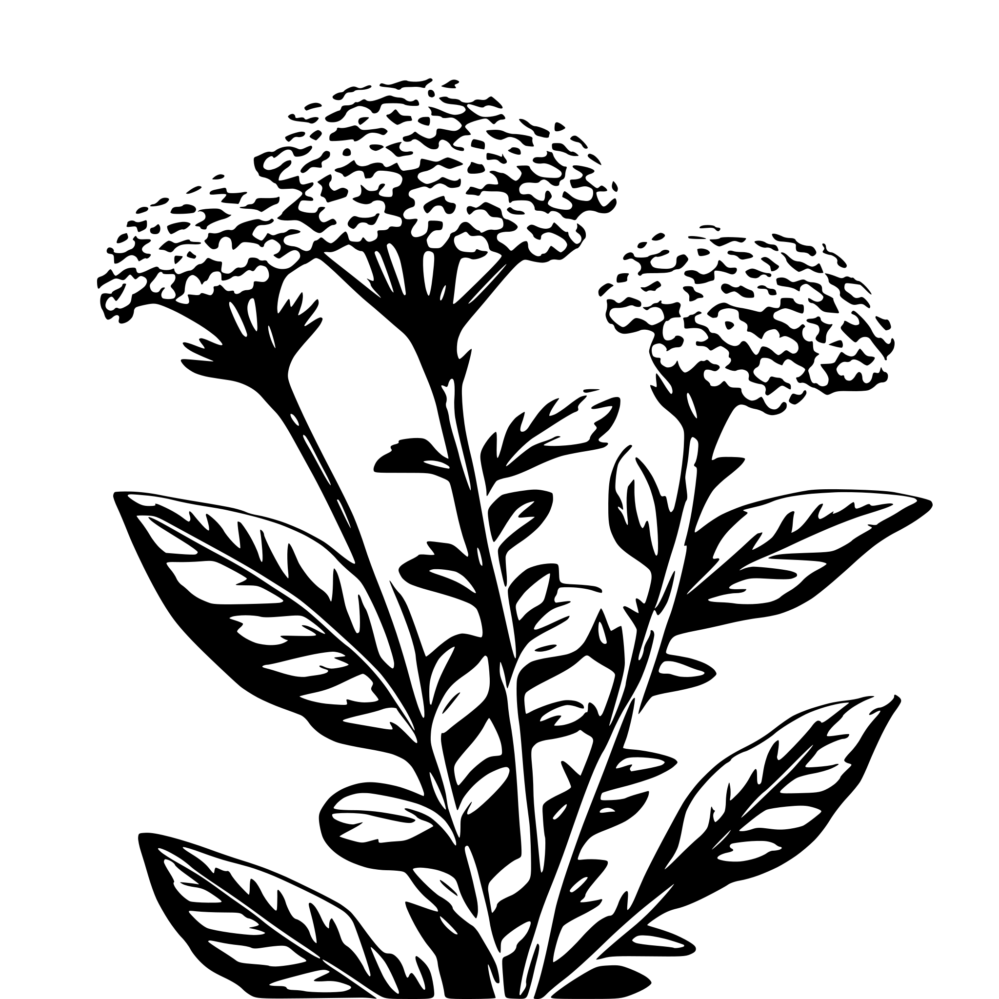 AI-generated SVG of a sing yarrow plant