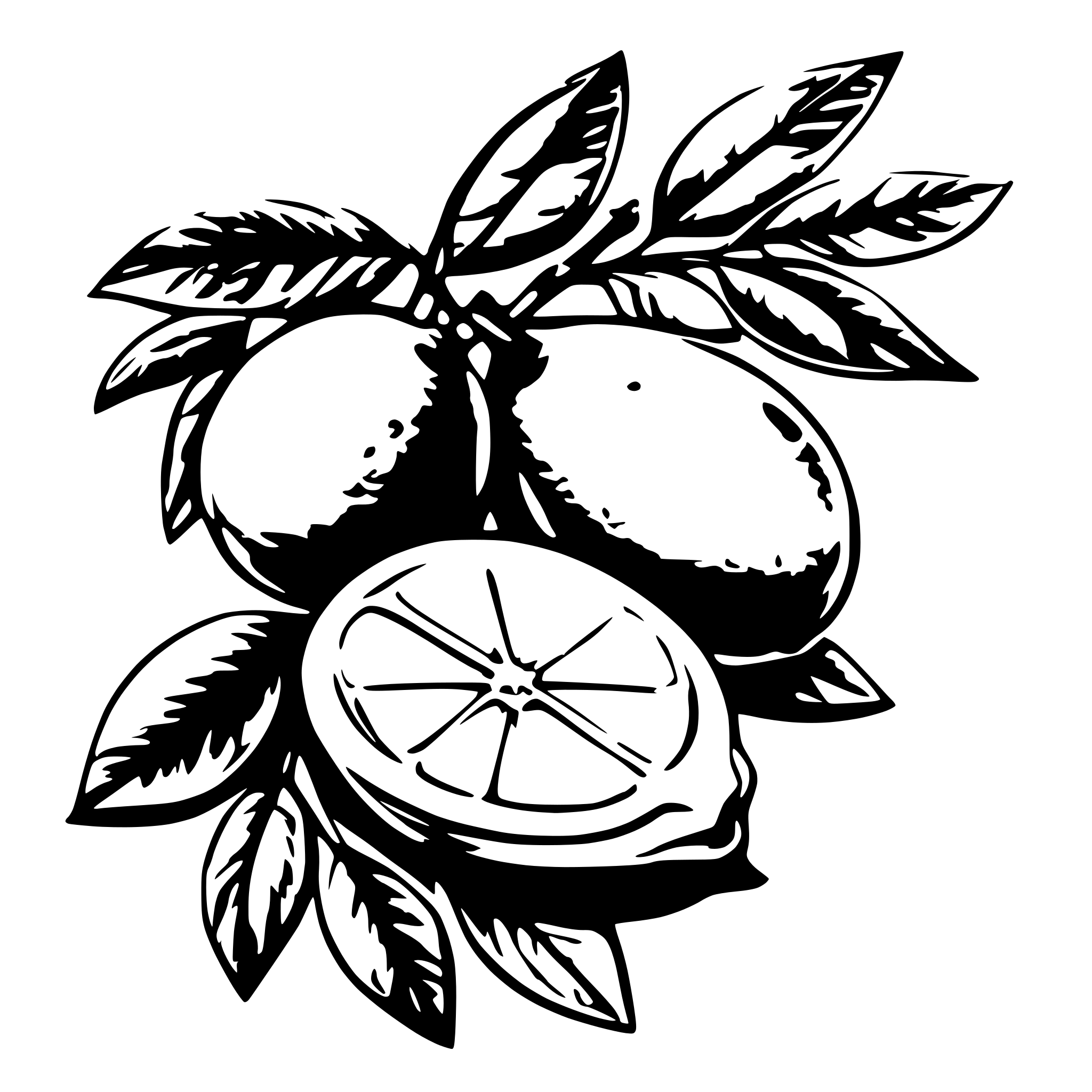 AI-generated SVG of 'coloured Drawing of two lemons on a branch with orange blossom'