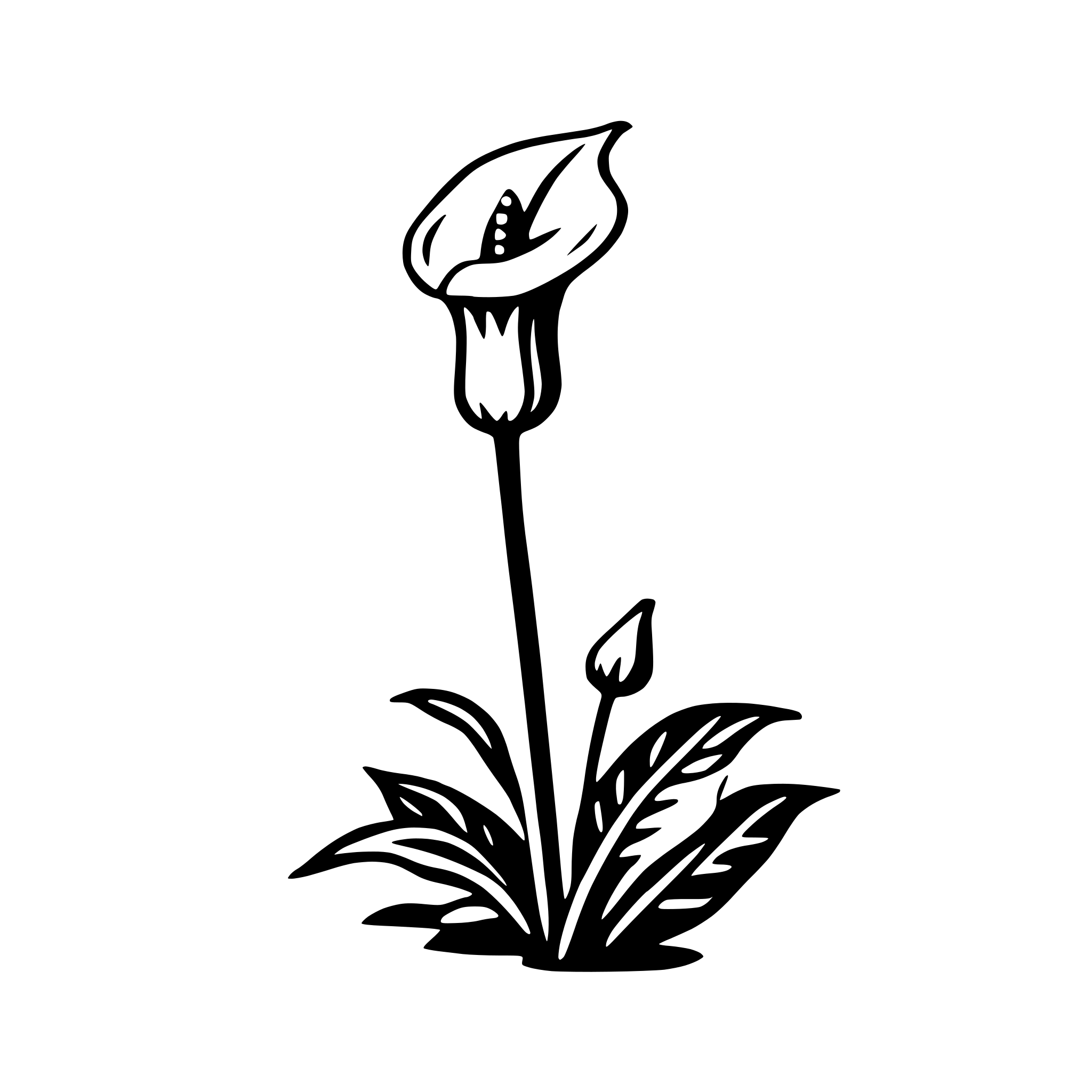 AI-generated SVG of a calla lily