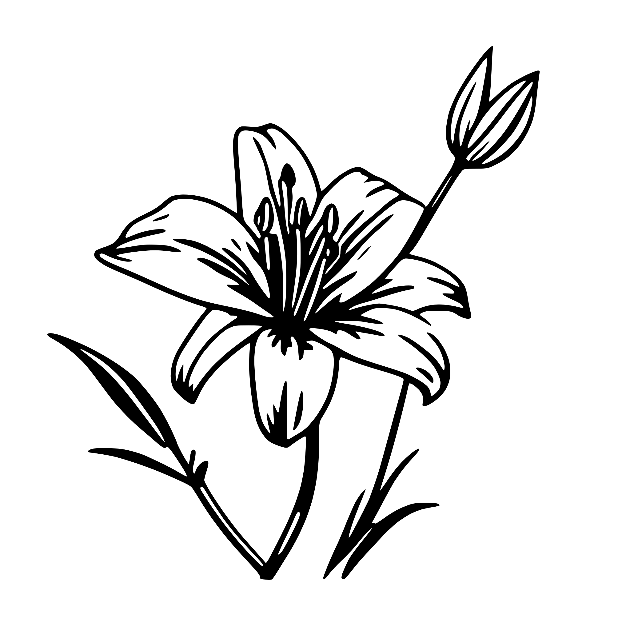 AI-generated SVG of a simple line tiger lily flower svg