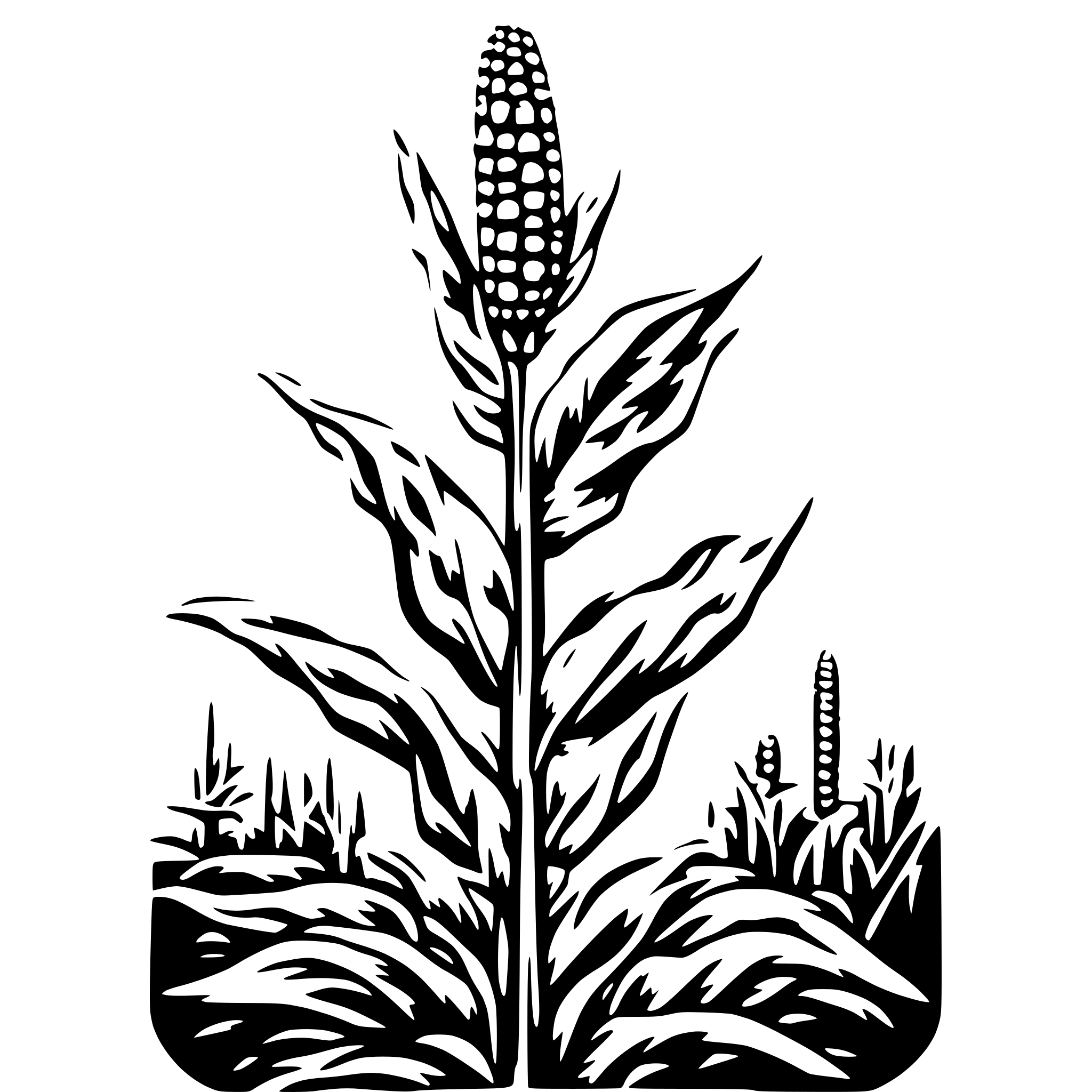 AI-generated SVG of 'corn stalk'