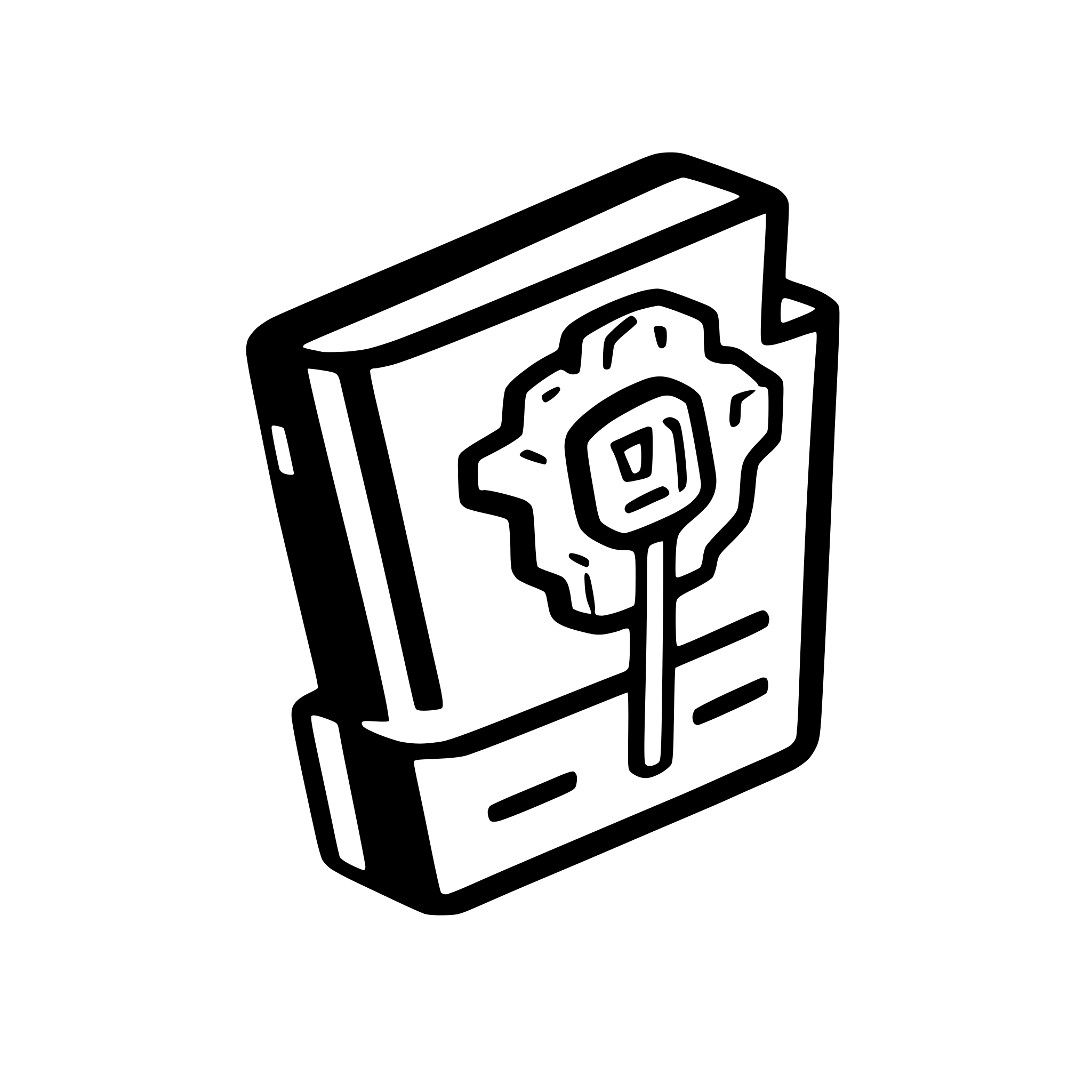 AI-generated SVG of 'perspective view of blueprint schema'