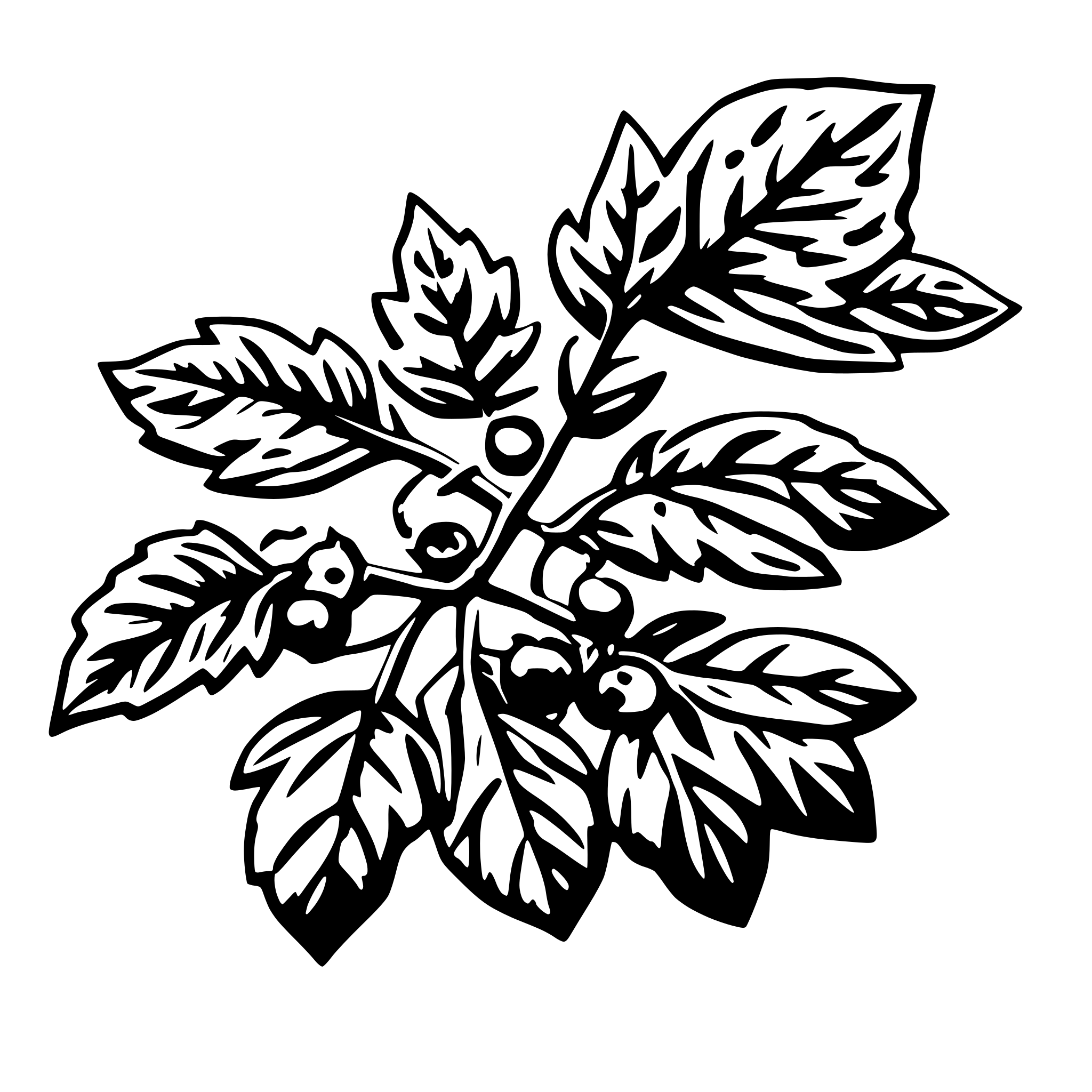 AI-generated SVG of 'winter berry leaves and vines'