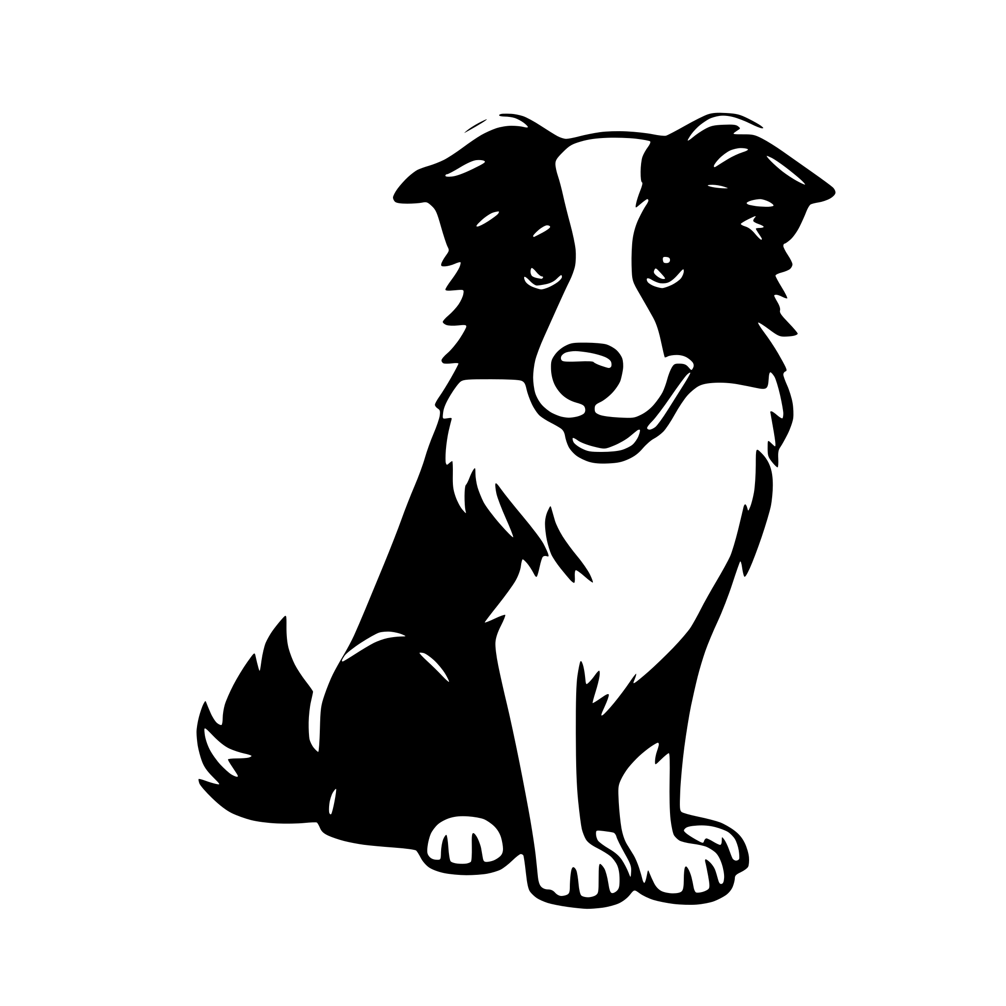 AI-generated SVG of 'flat border collie'