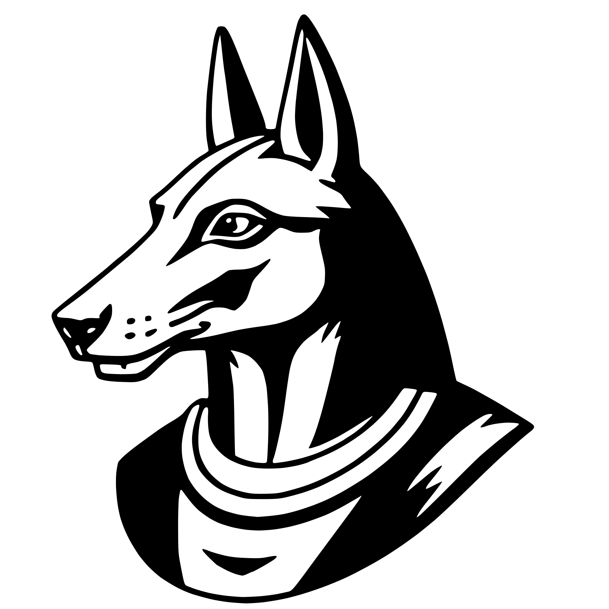 The SVG depicts a stylized black and white illustration of a dog's head. The dog appears to be an Egyptian-style canine, characterized by its elongated snout, pointed ears, and a collar with a distinct collarbone. The dog's eyes are open and directed forward, and its mouth is closed. The overall style is simplistic and graphic, with clean lines and a lack of shading or texture, which is typical of vector illustrations. 