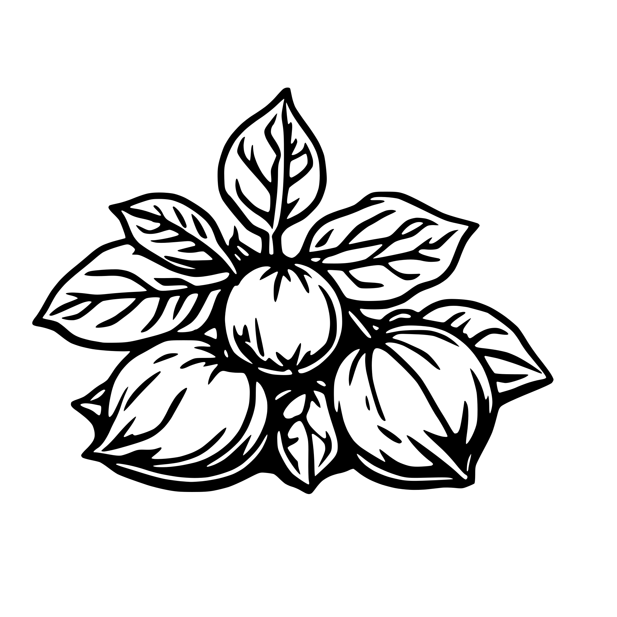AI-generated SVG of 'svg icon of Physalis alkekengi with Colored Outline Style'