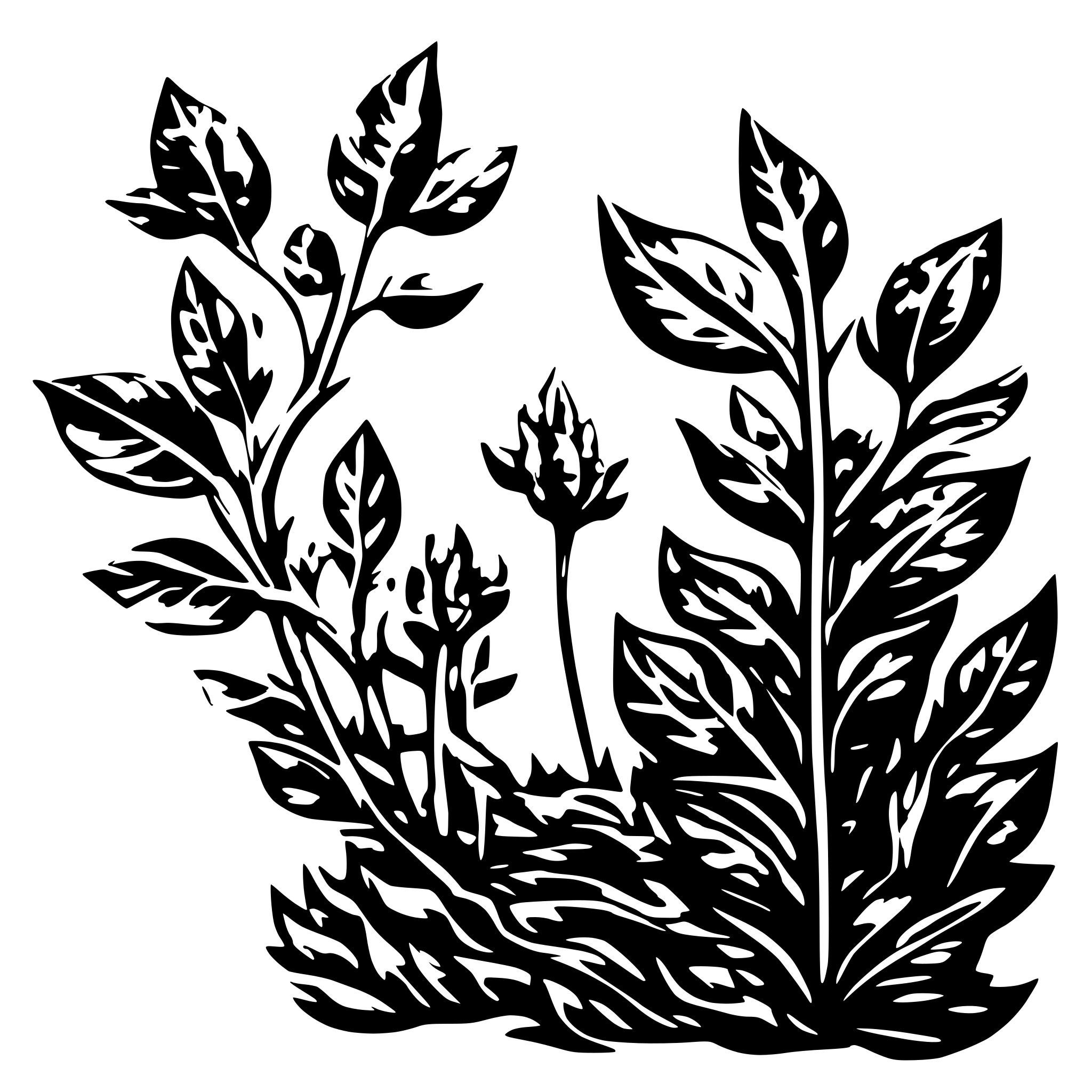 AI-generated SVG of a Andrressa A Terapeuta