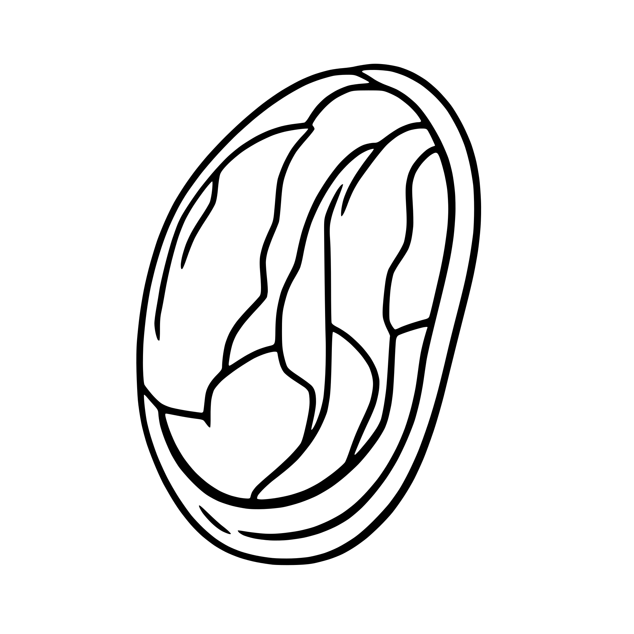 AI-generated SVG of a basic kidney bean shape