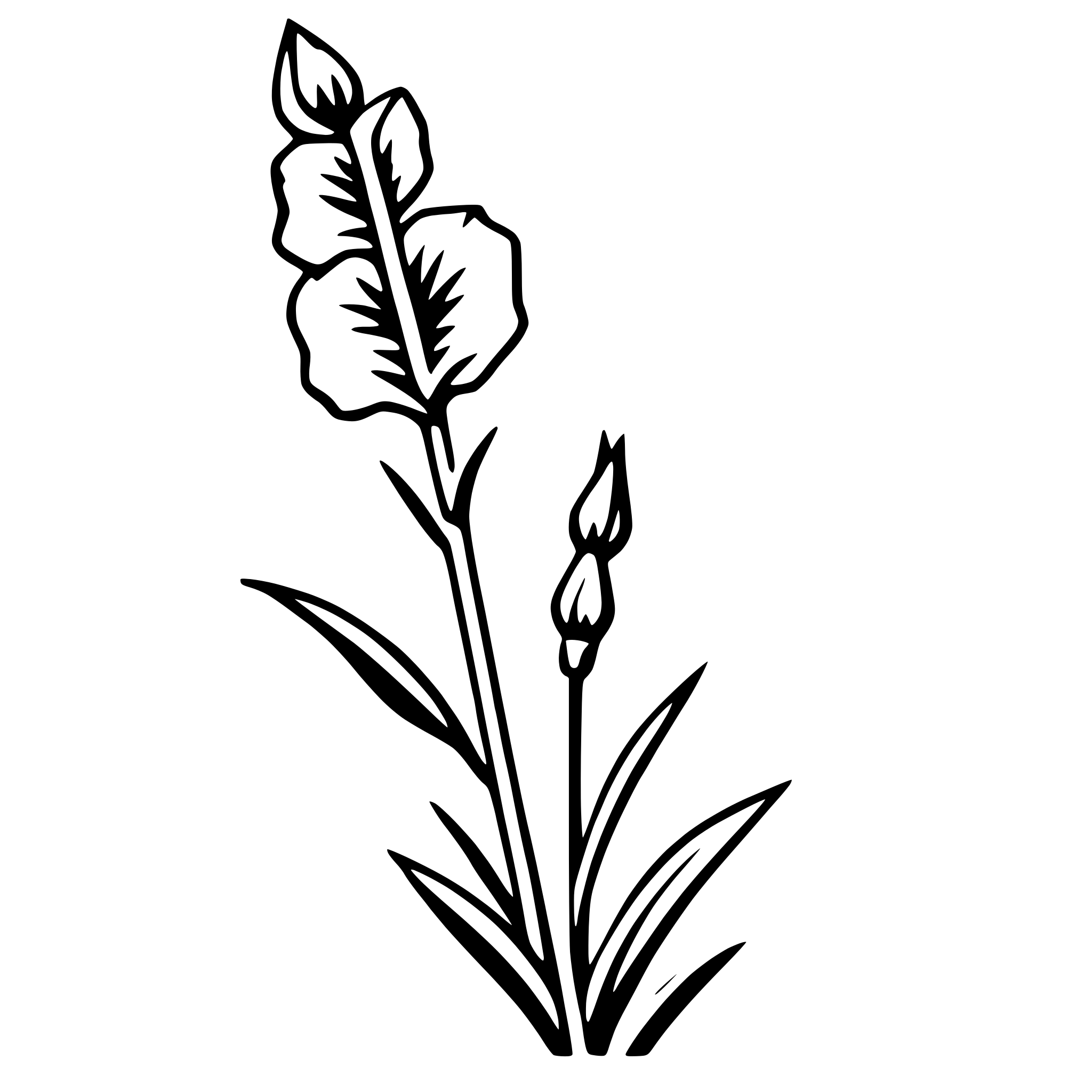 AI-generated SVG of a gladiolus