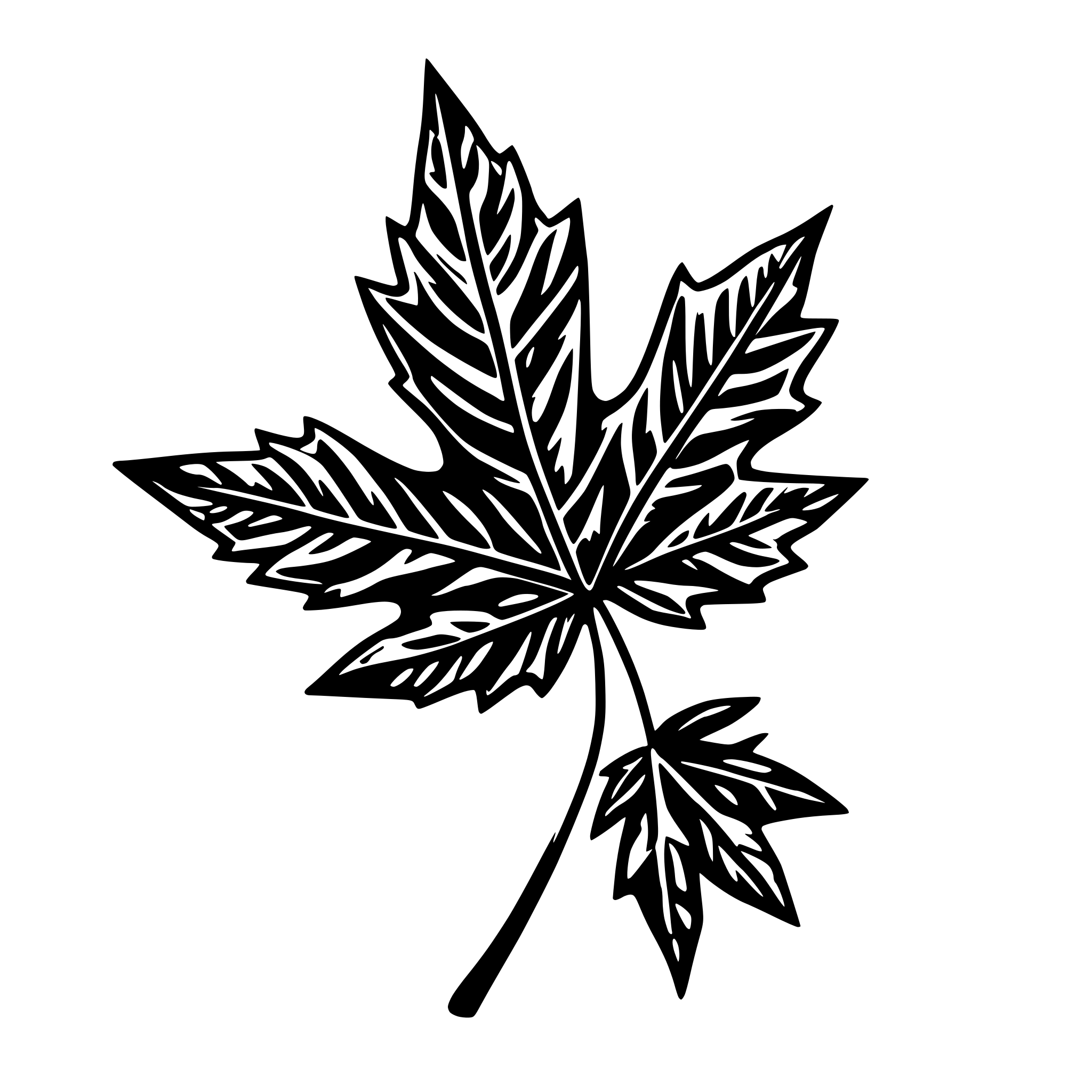 AI-generated SVG of 'maple leave'