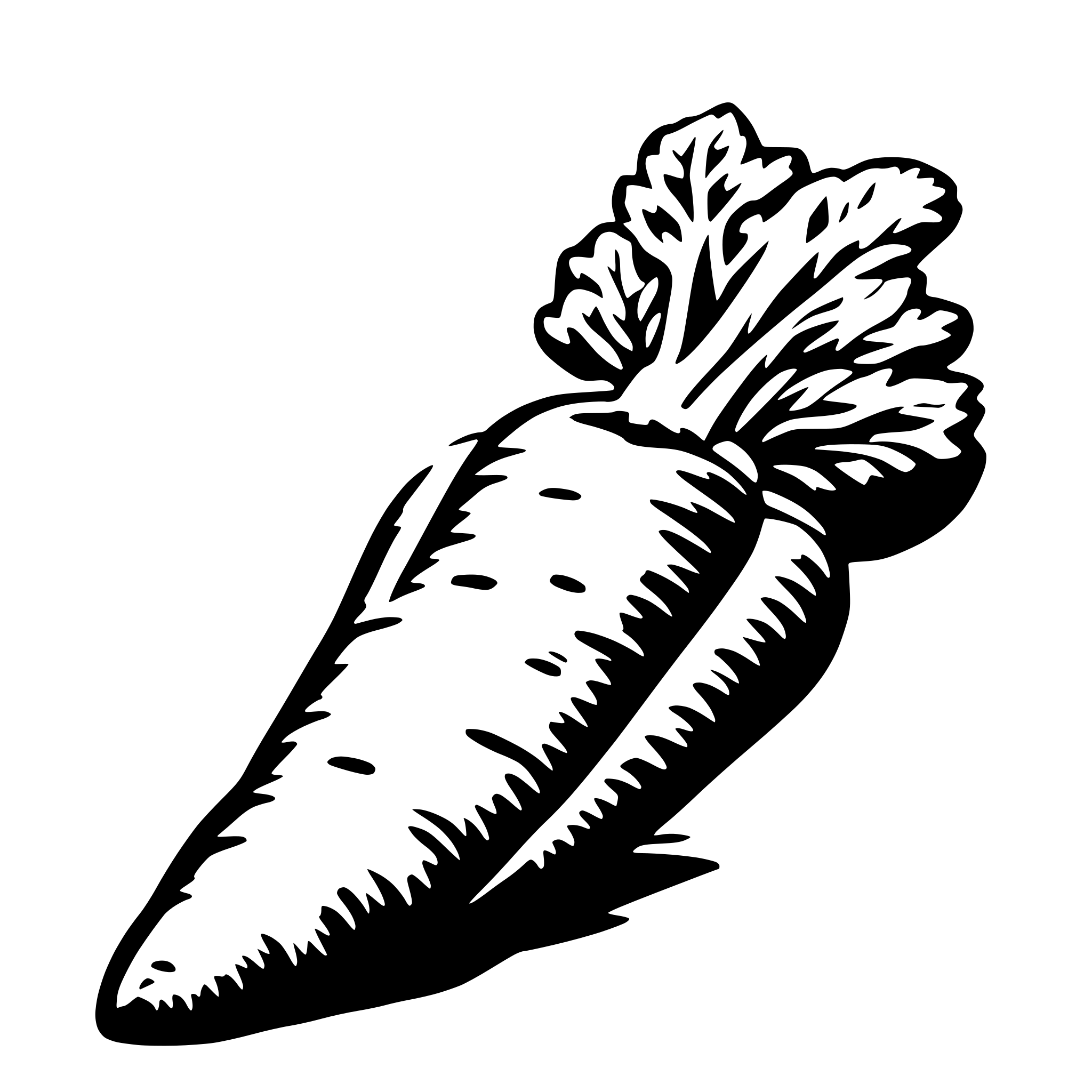 AI-generated SVG of 'a single orange carrot'