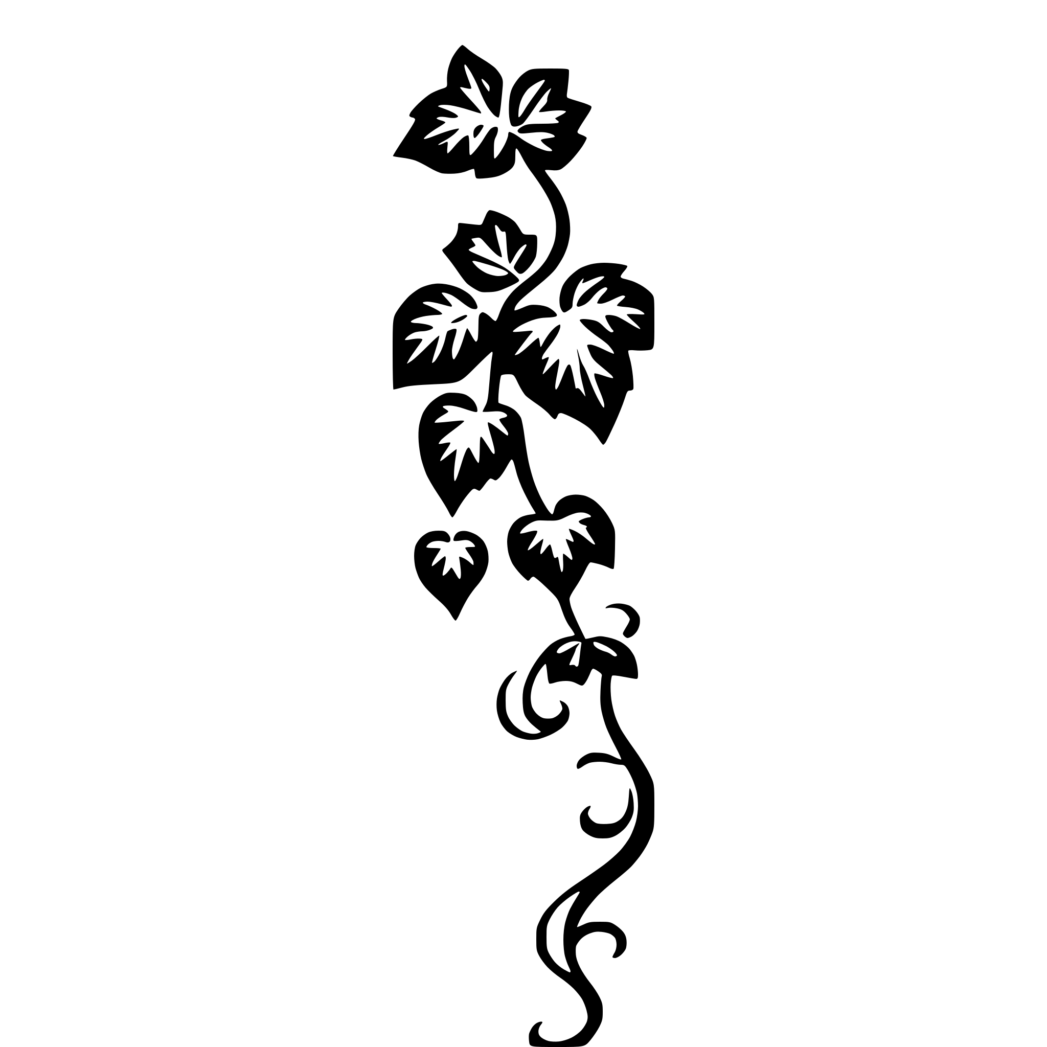 AI-generated SVG of a A beautiful and magic vine